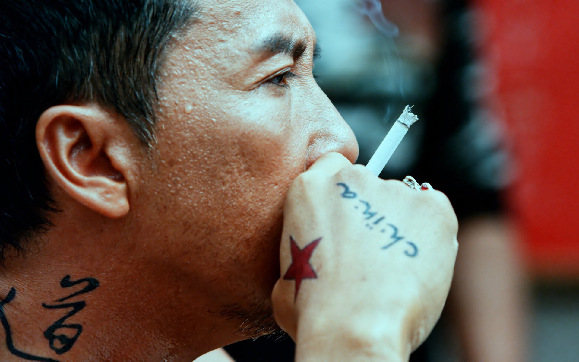 甄子丹,明星,帅哥,肌肉男,打星