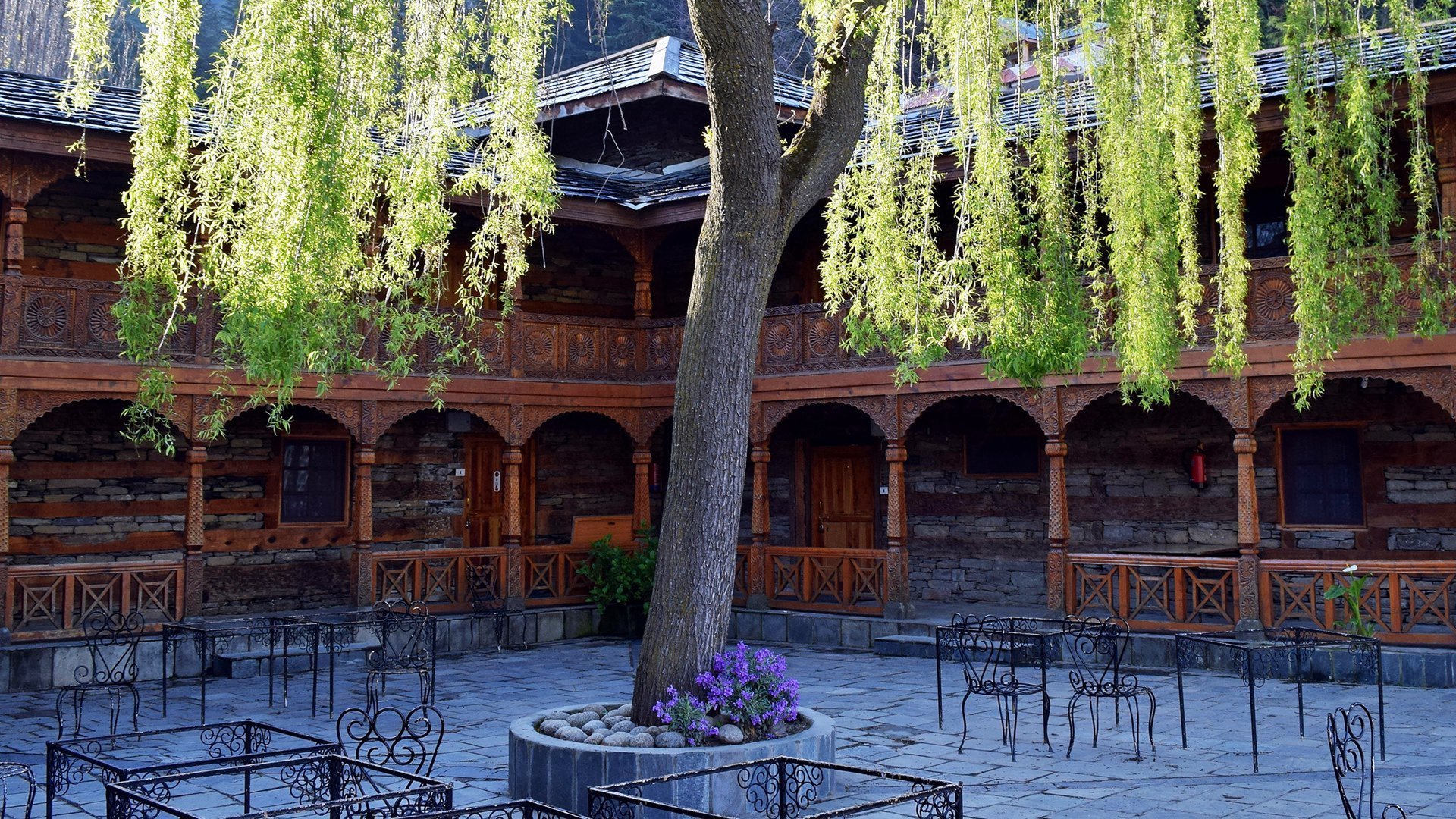 宅院,古风,大树