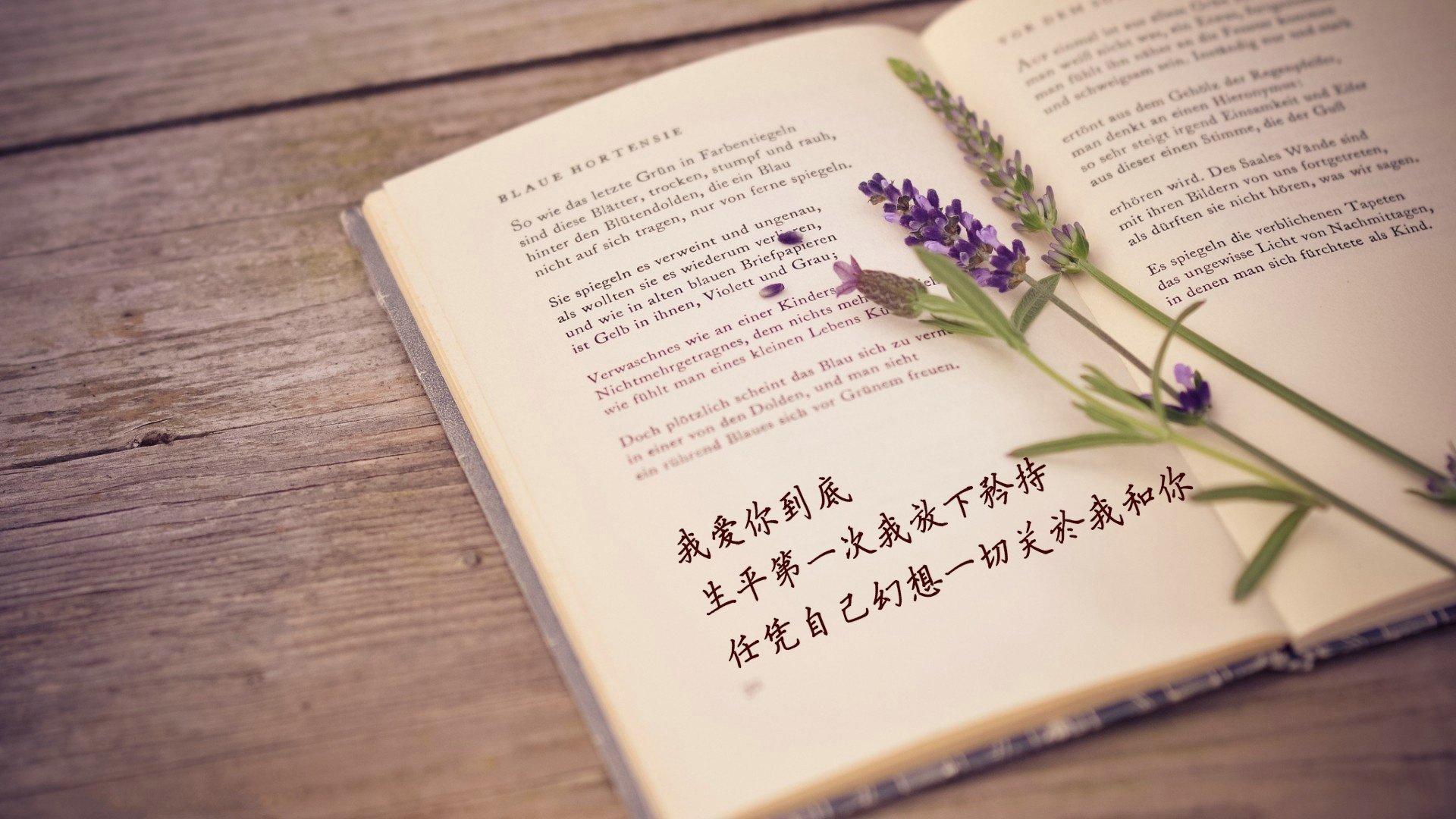 爱情,爱情箴言,温暖