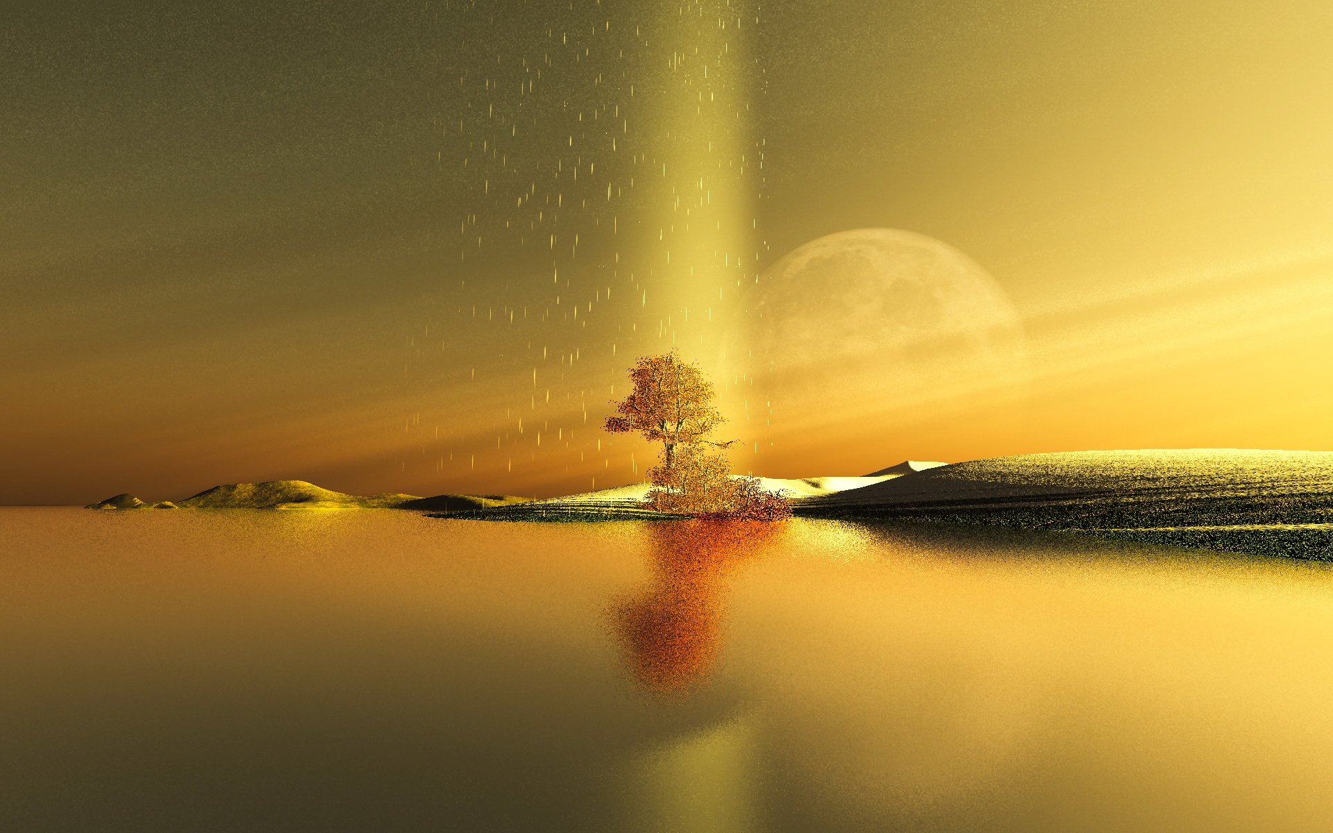 艺术,金色,枫叶