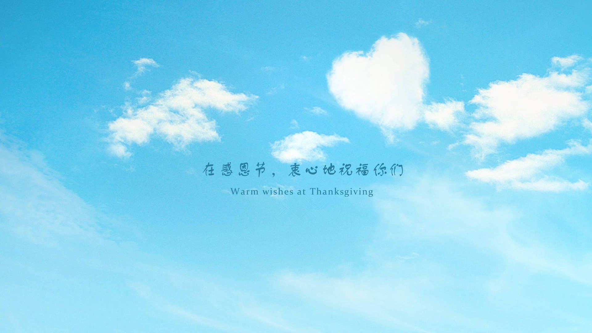 感恩节,节日美图,火鸡,宽屏