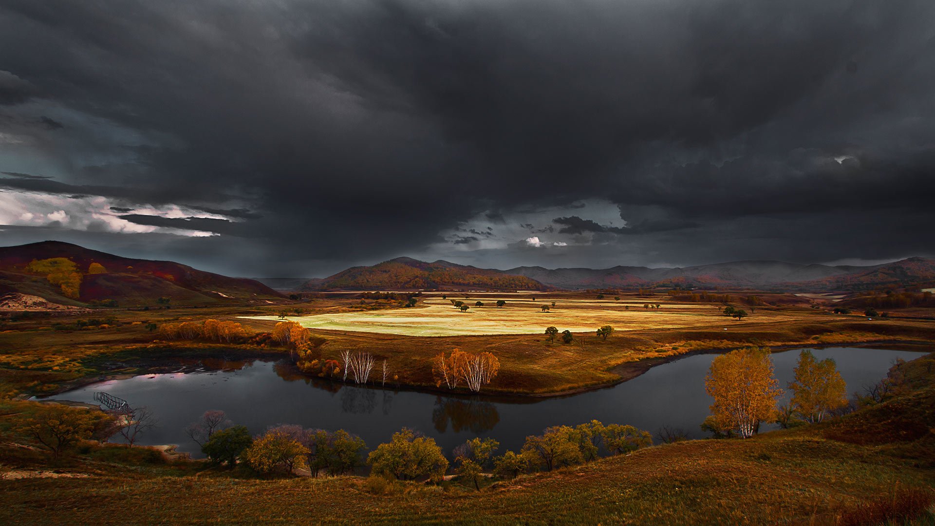 2015年,Bing,官方,主题,宽屏,风光,风景,摄影,动物