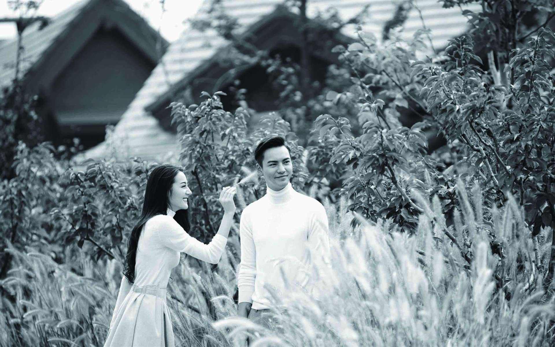 迪丽热巴,陈伟霆,甜蜜,情侣,宽屏