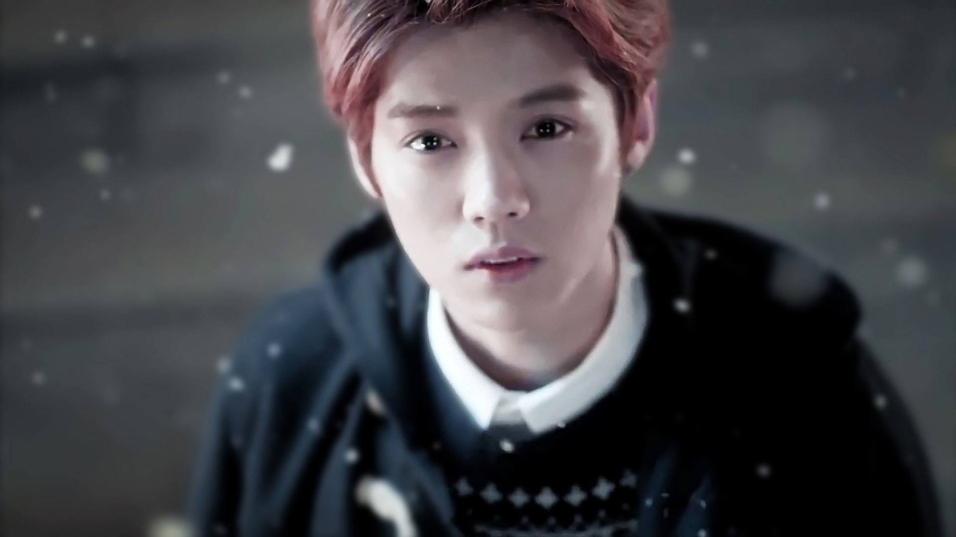 EXO,音乐,流行乐,小鲜肉,明星