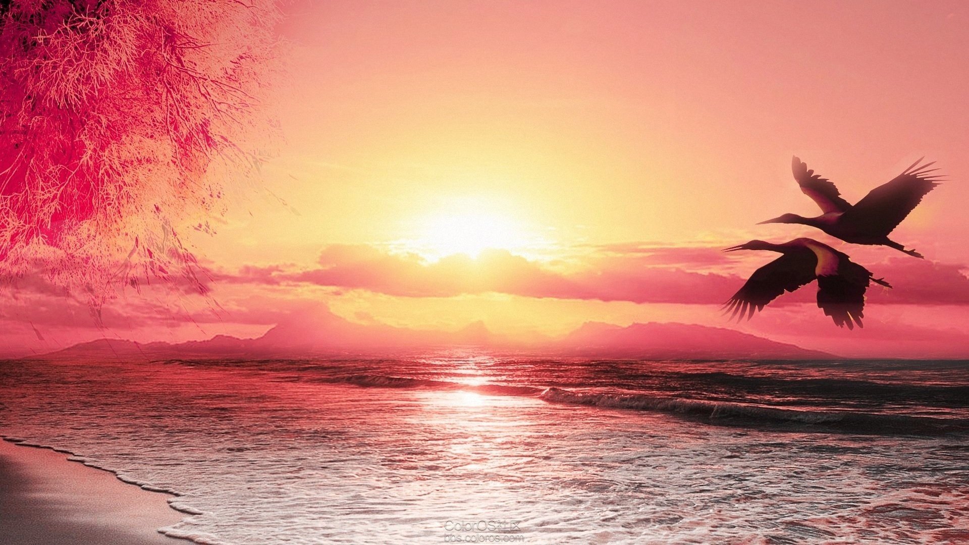 风景,自然风景,夕阳,落日,黄昏