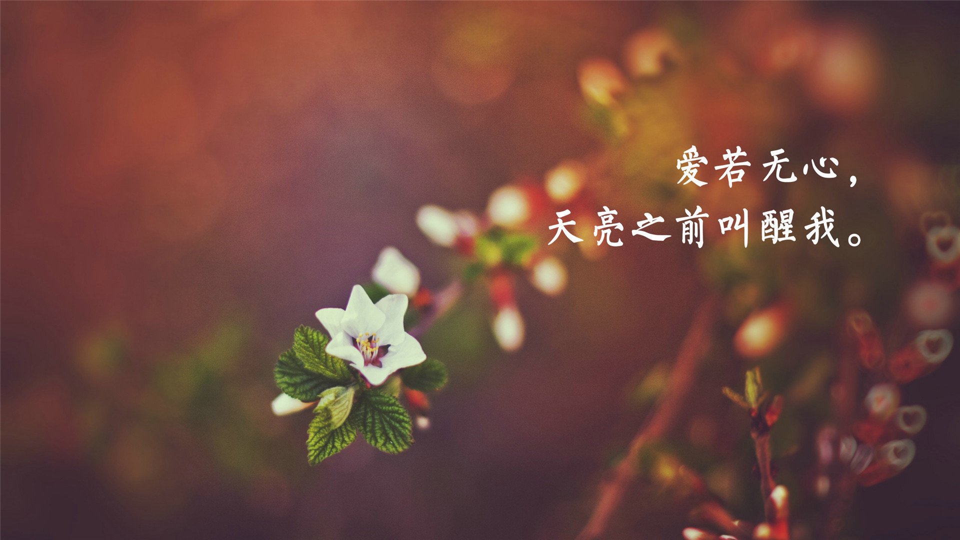 爱情,爱情箴言,温馨,感动