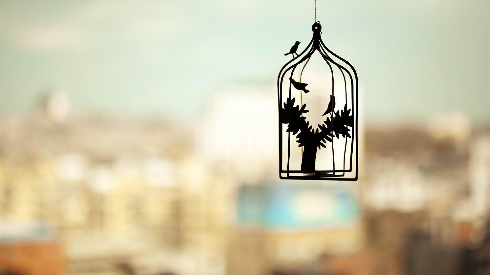 小清新,简洁,宽屏