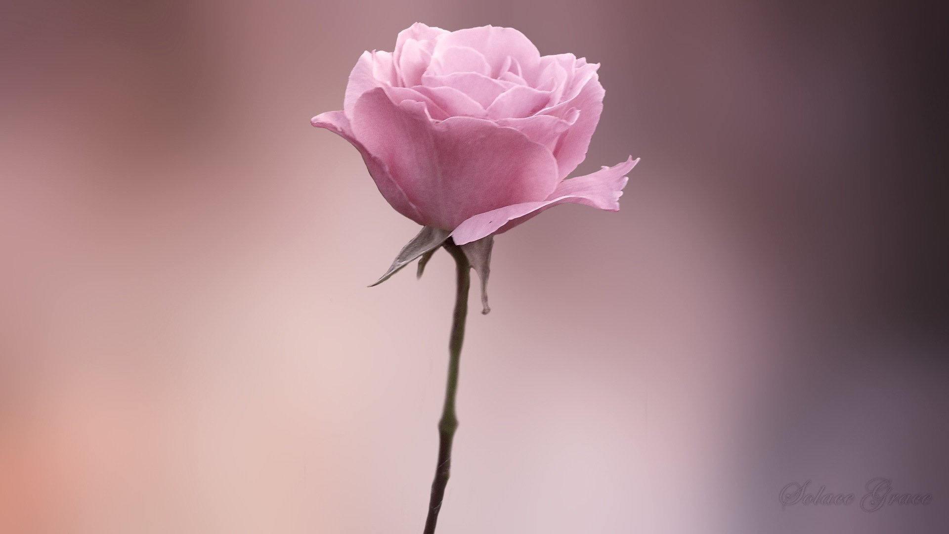 小清新,清新,温暖,宽屏