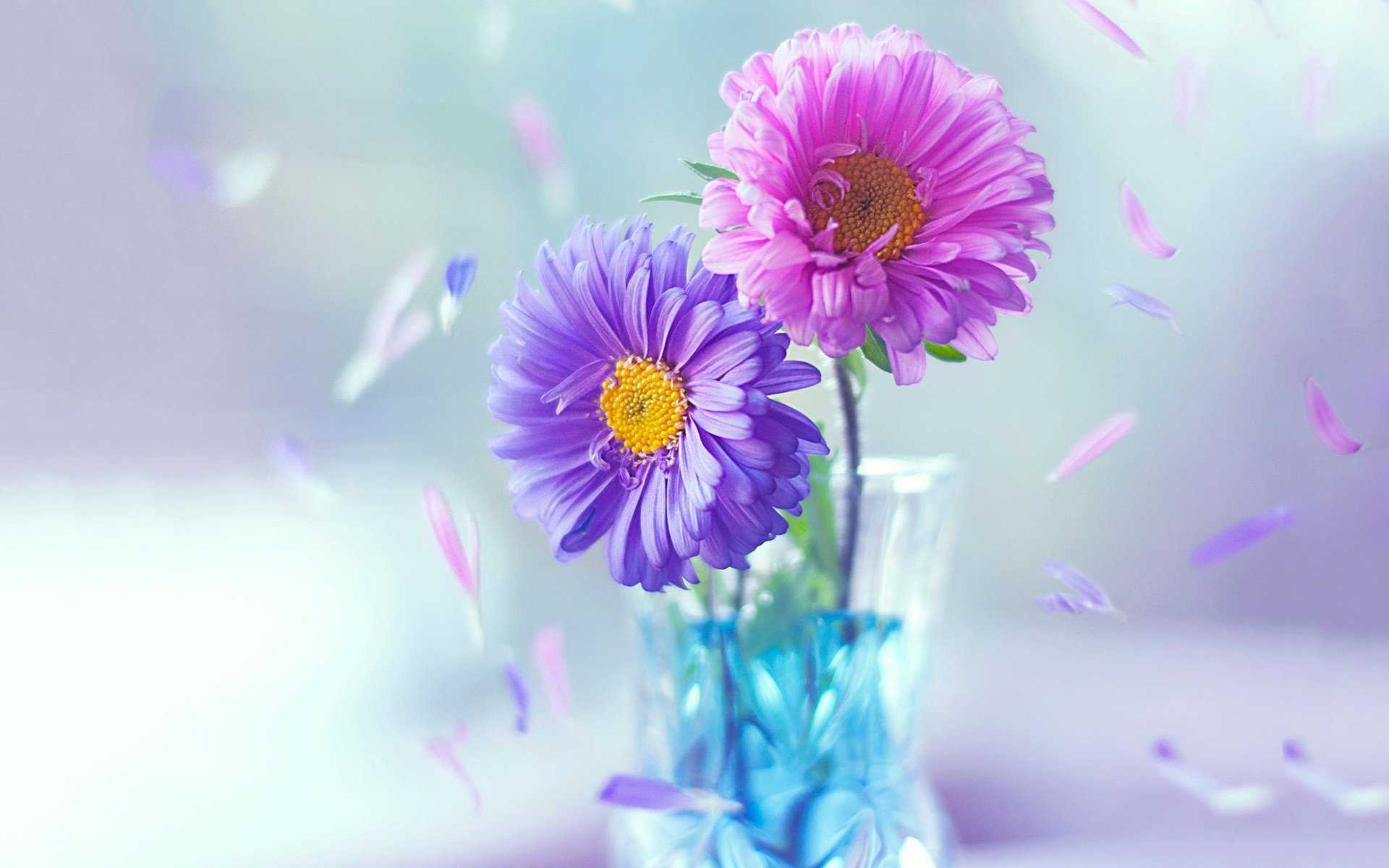 小清新,鲜花,唯美,温馨