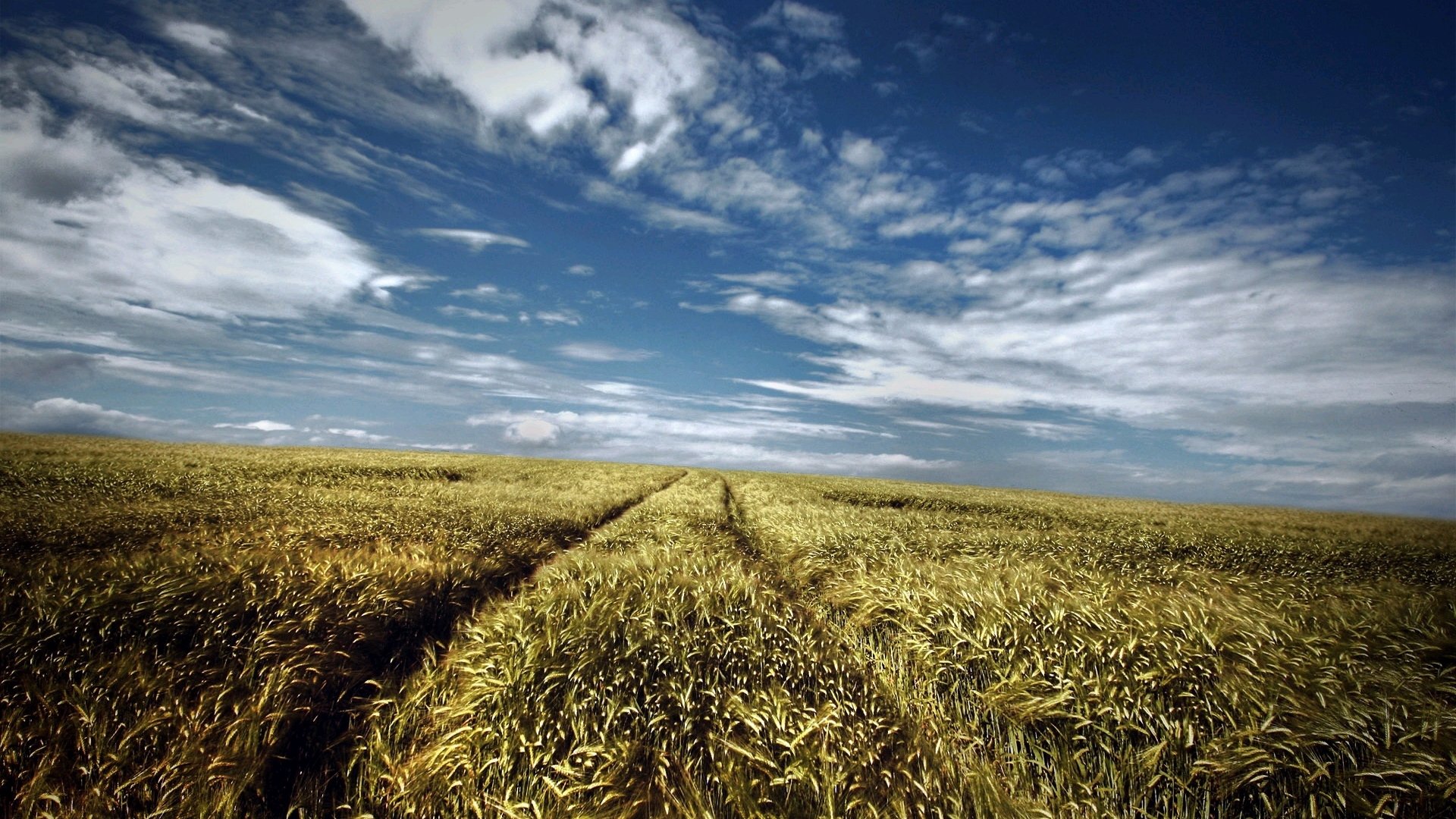 风景,自然风景,苍茫大地,蓝天,白云