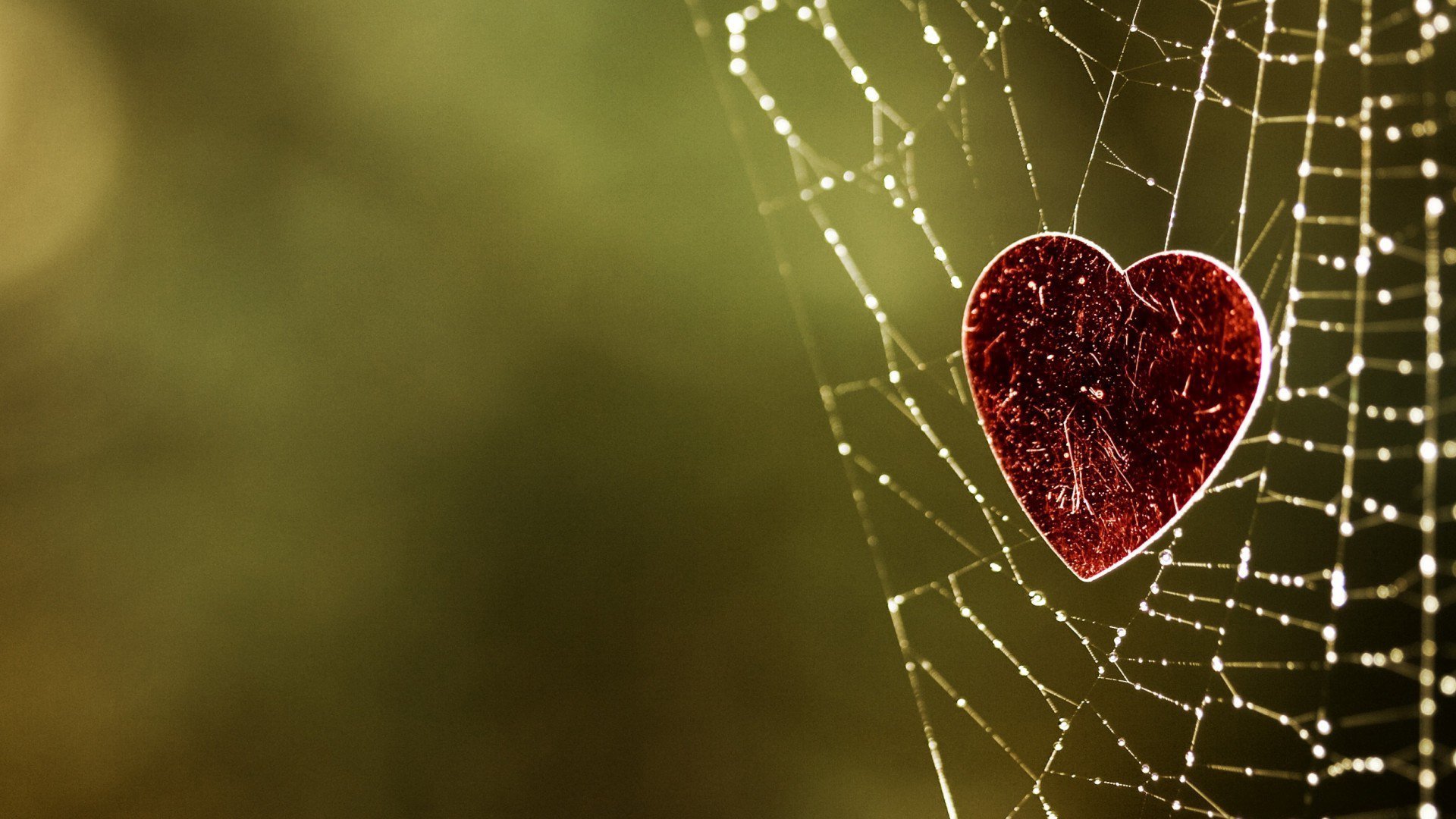 爱情,爱心,爱情网