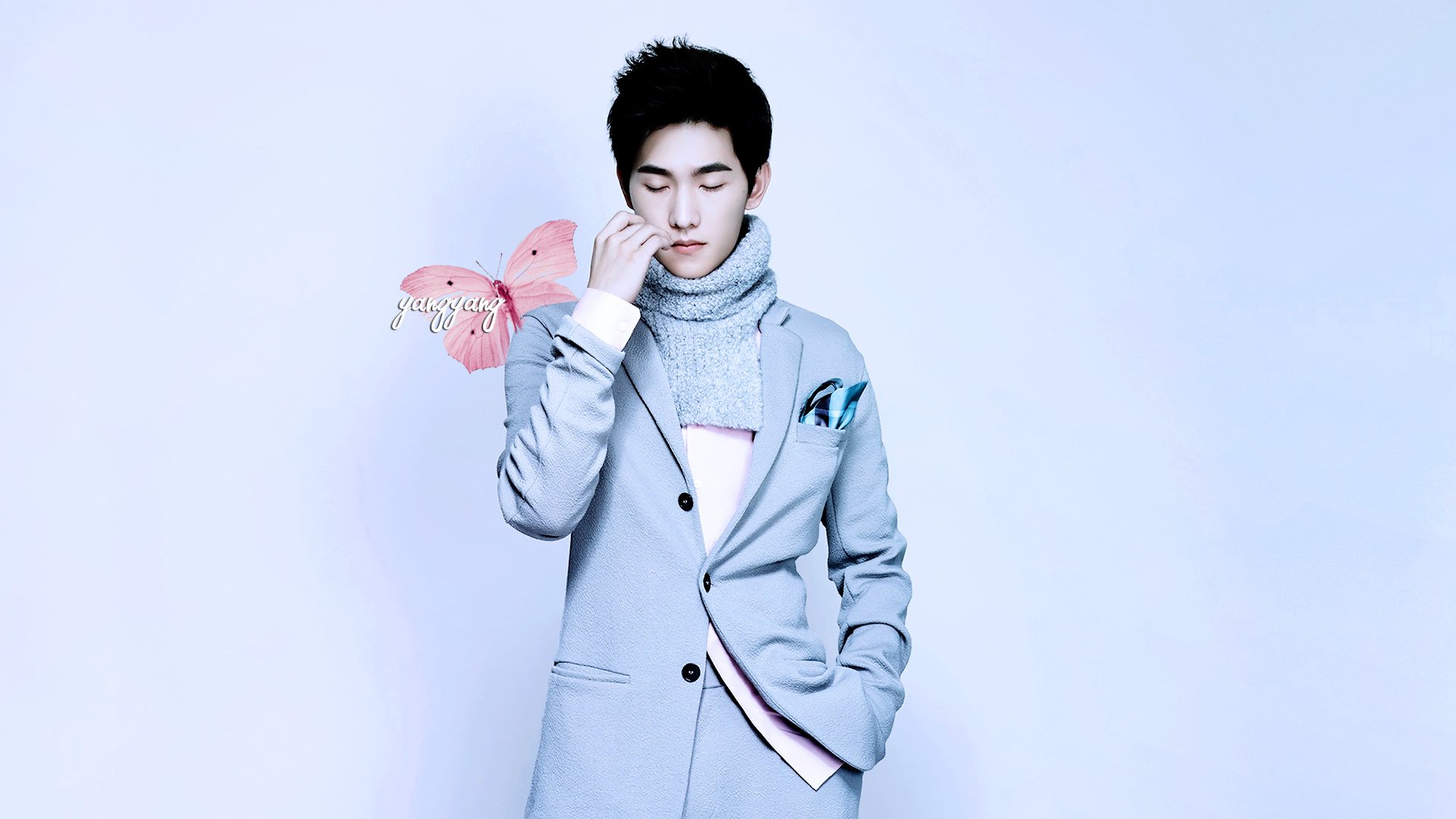 杨洋,明星,帅哥,宽屏,小鲜肉