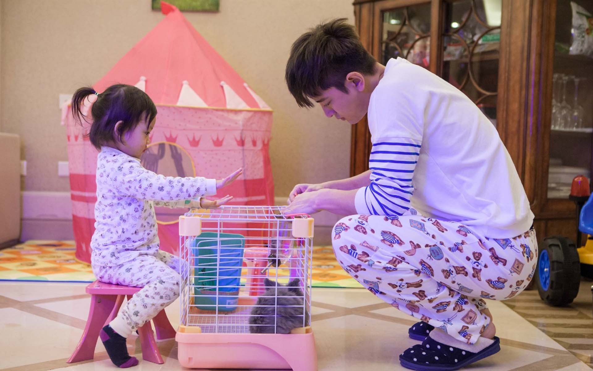 甜馨,贾乃亮,爸爸回来了,搞怪,逗趣,萌娃