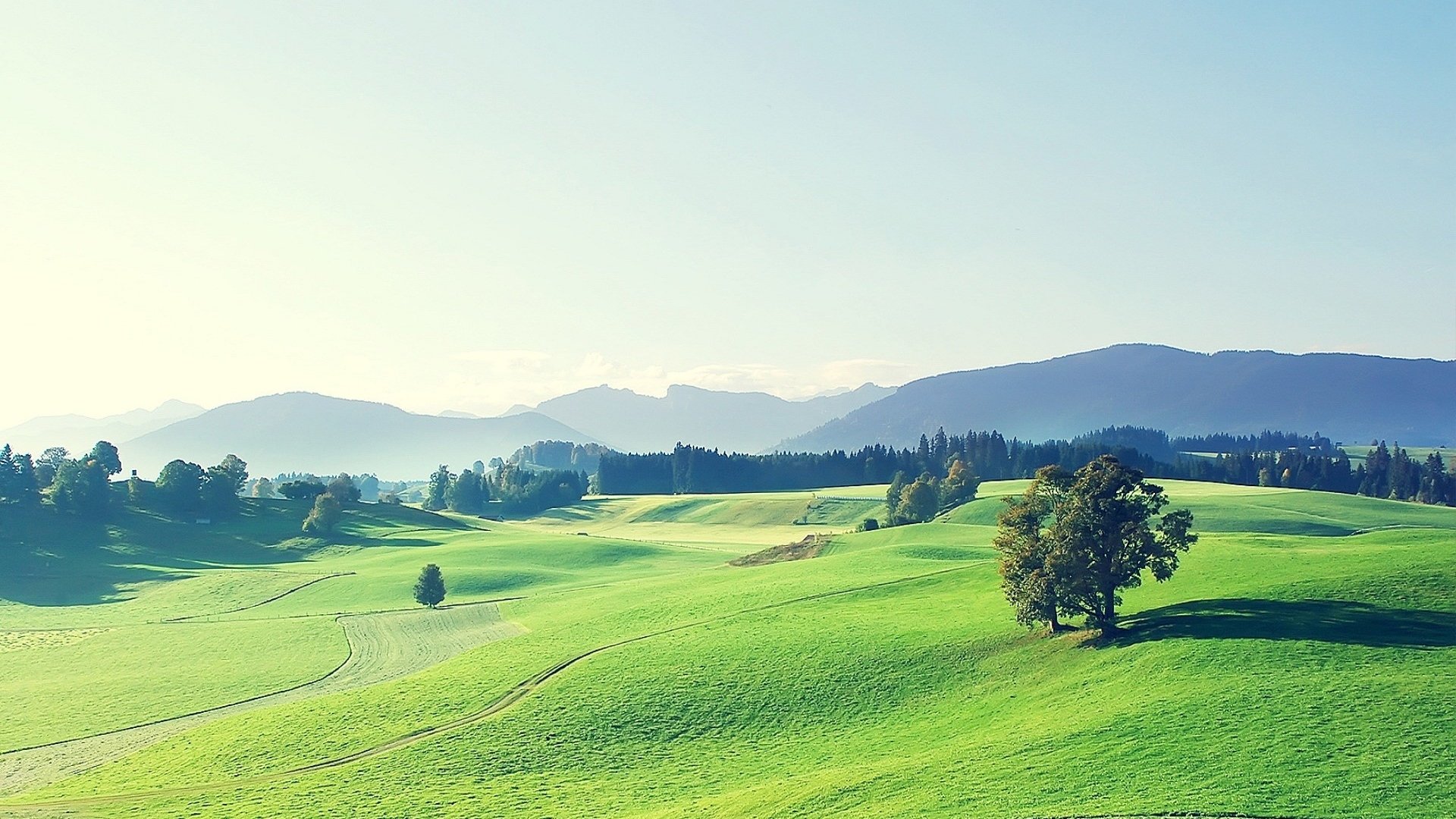 草原,广阔,护眼
