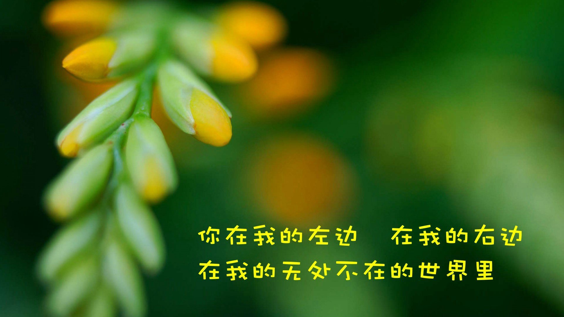 爱情,爱情箴言,温馨,感动