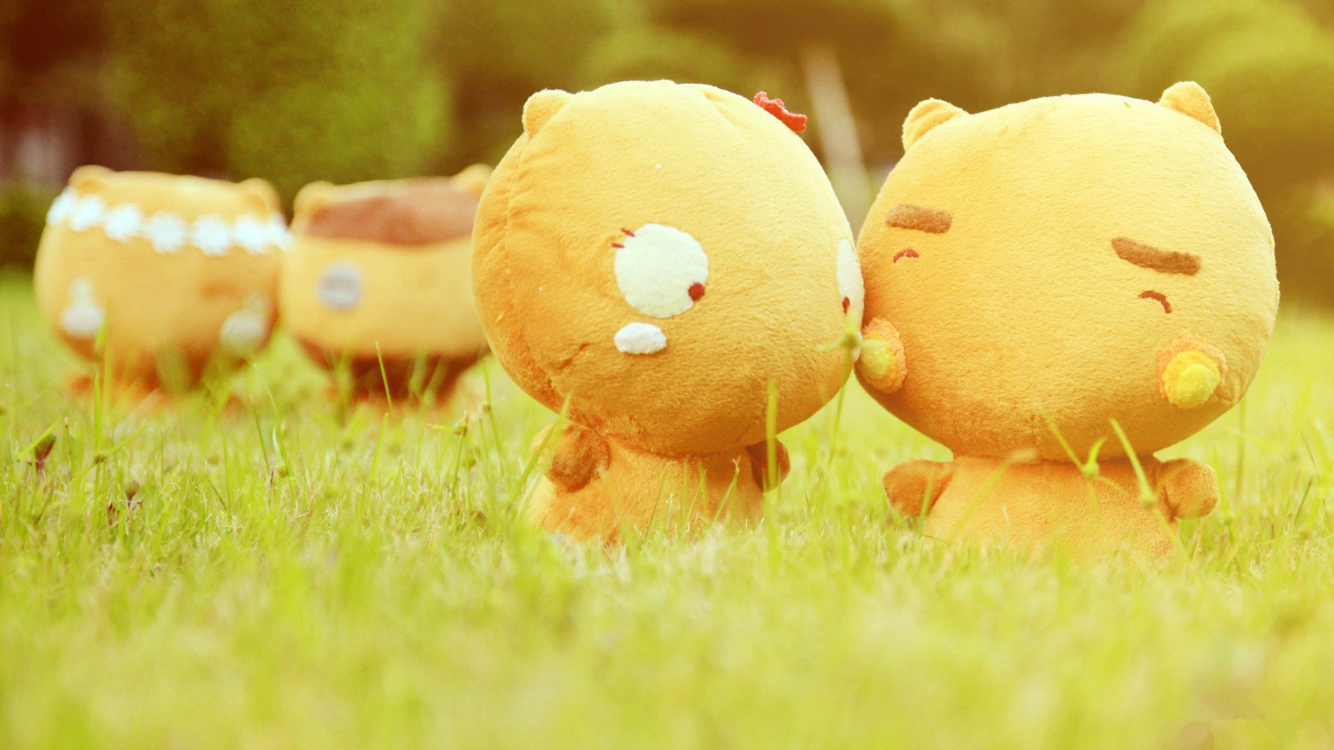 小清新,清新,可爱