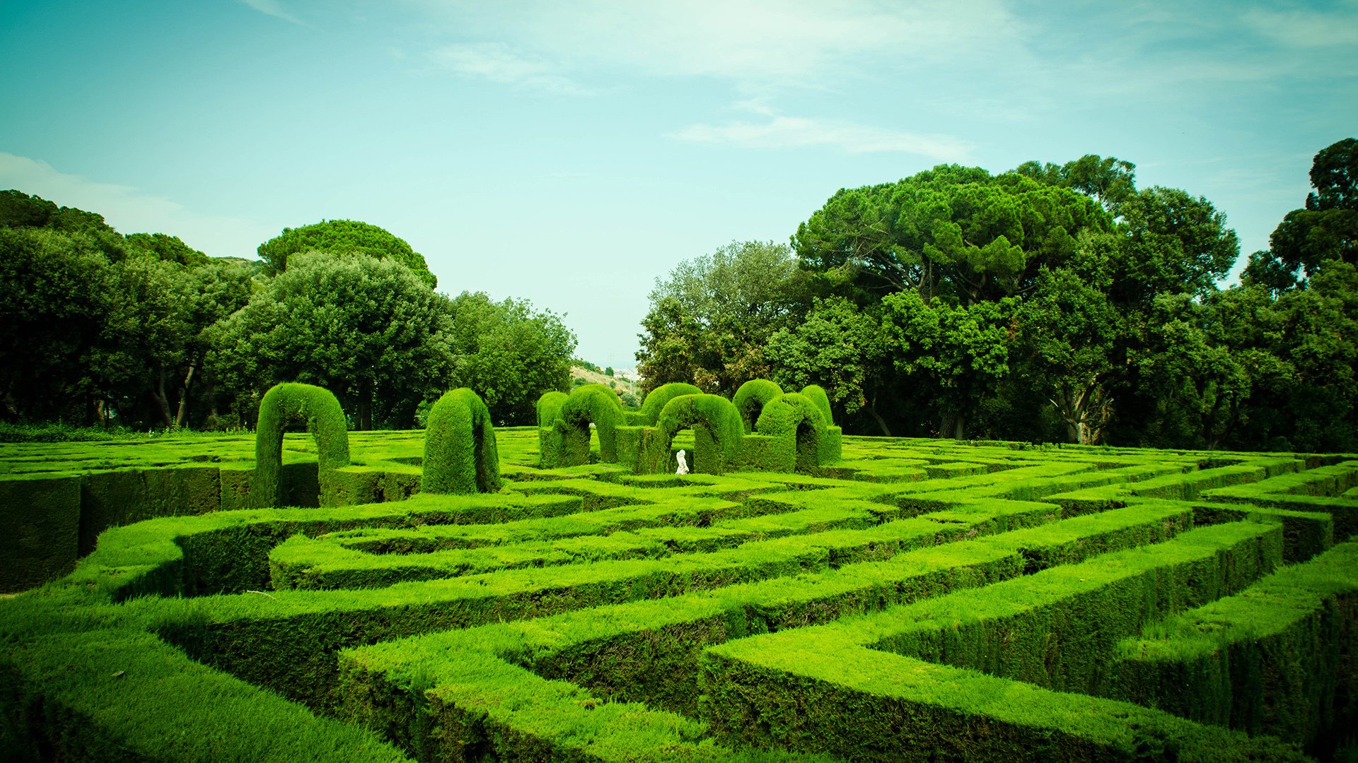 风景,人工美景,绿色,草坪,宽屏