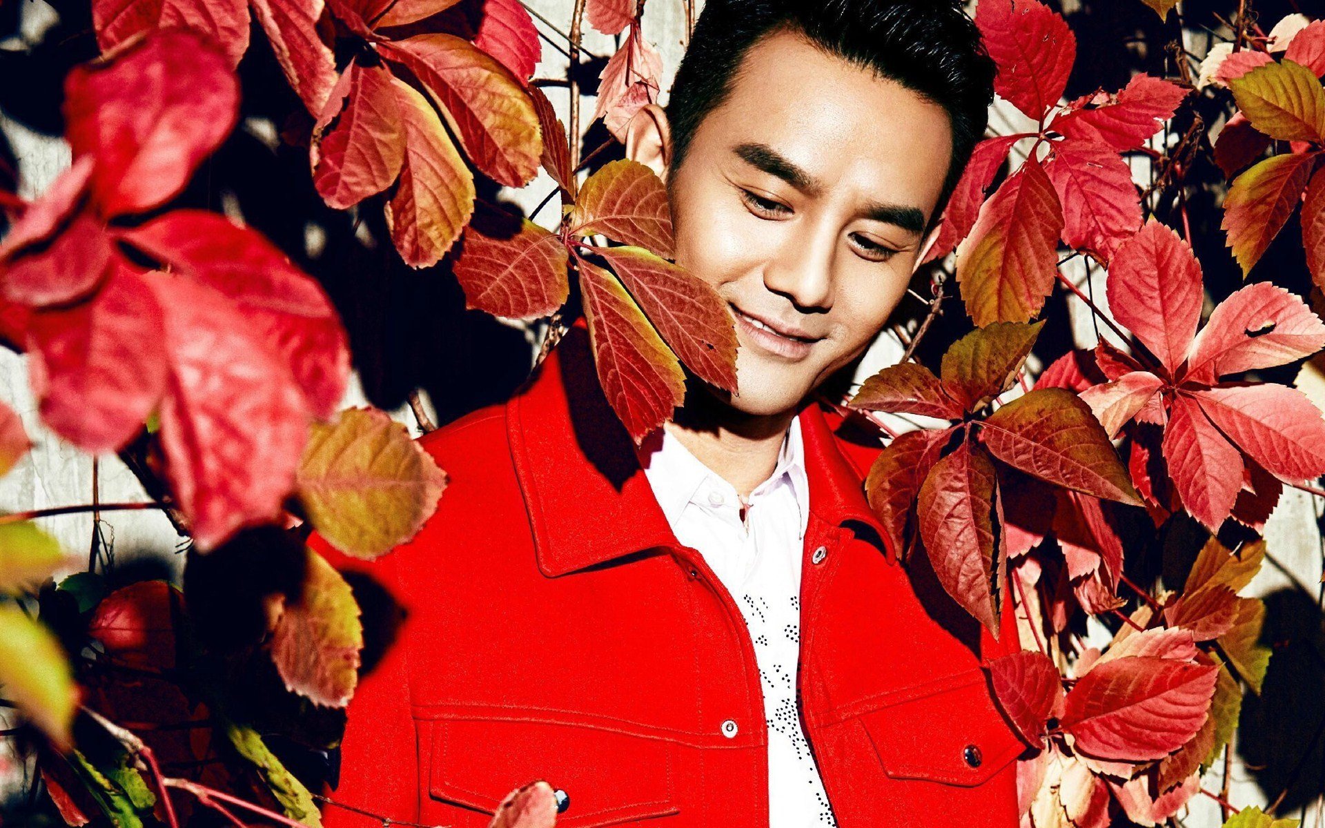 王凯,帅哥,明星,宽屏,小鲜肉