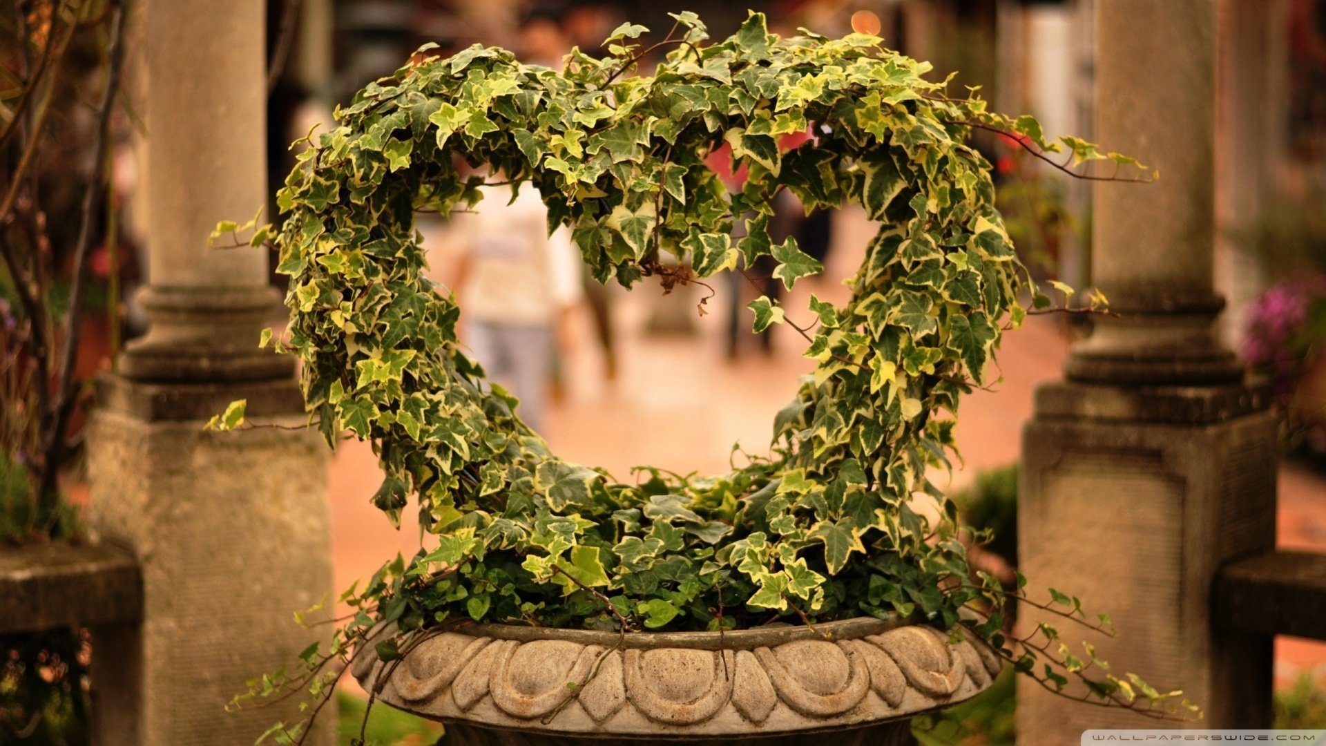 爱情,爱心,宽屏