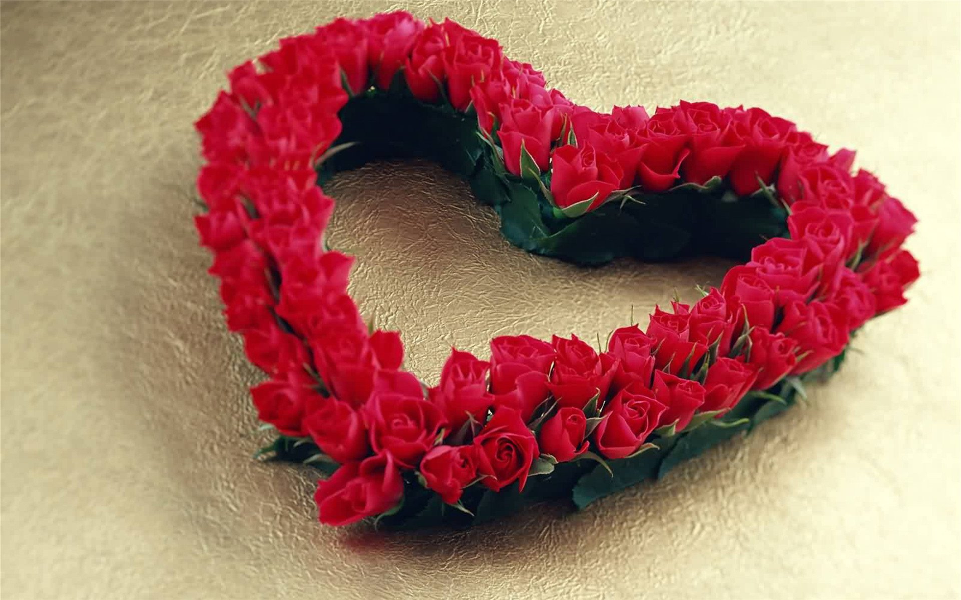 爱情,爱心,玫瑰花,温馨,感动,宽屏