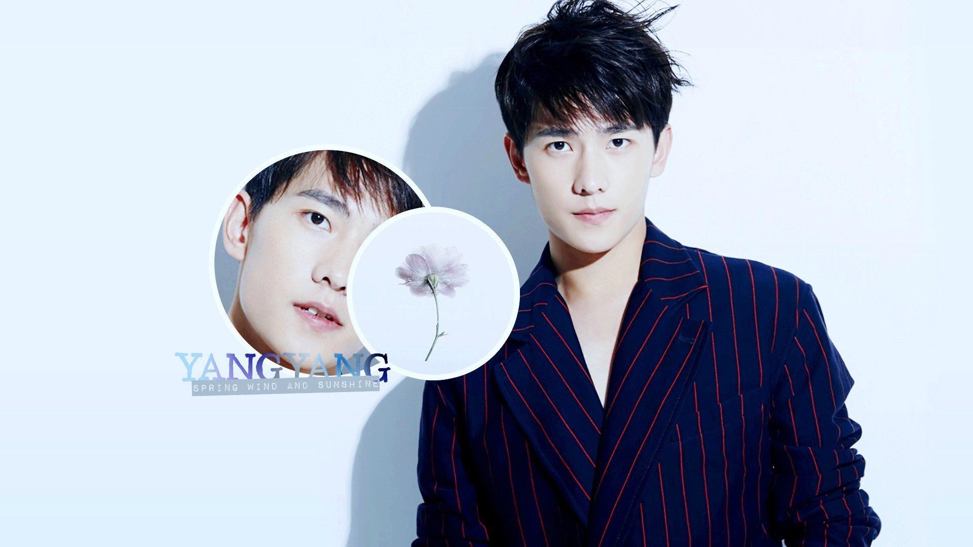 杨洋,明星,帅哥,宽屏,小鲜肉