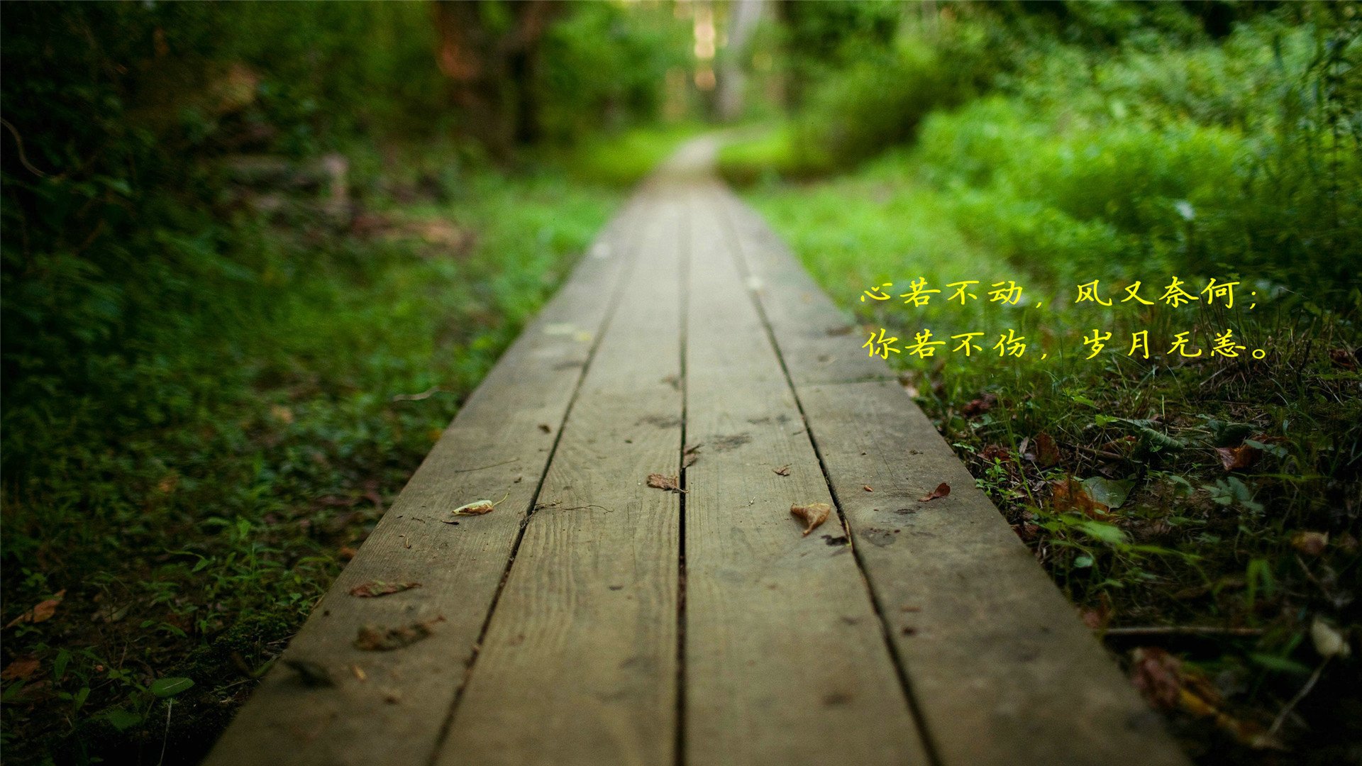 爱情,爱情箴言,温暖,感动