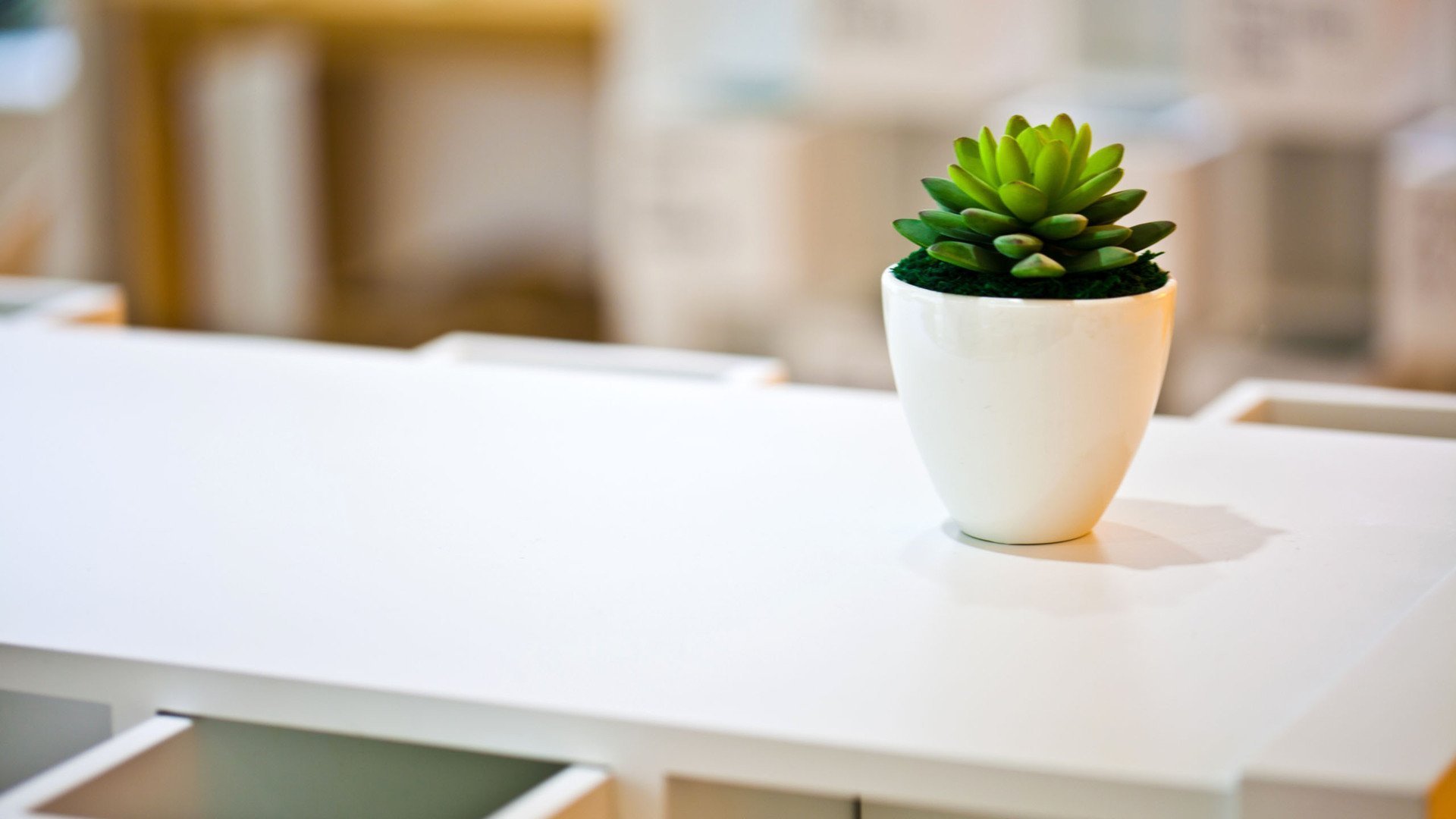 小清新,萌肉,简单,可爱