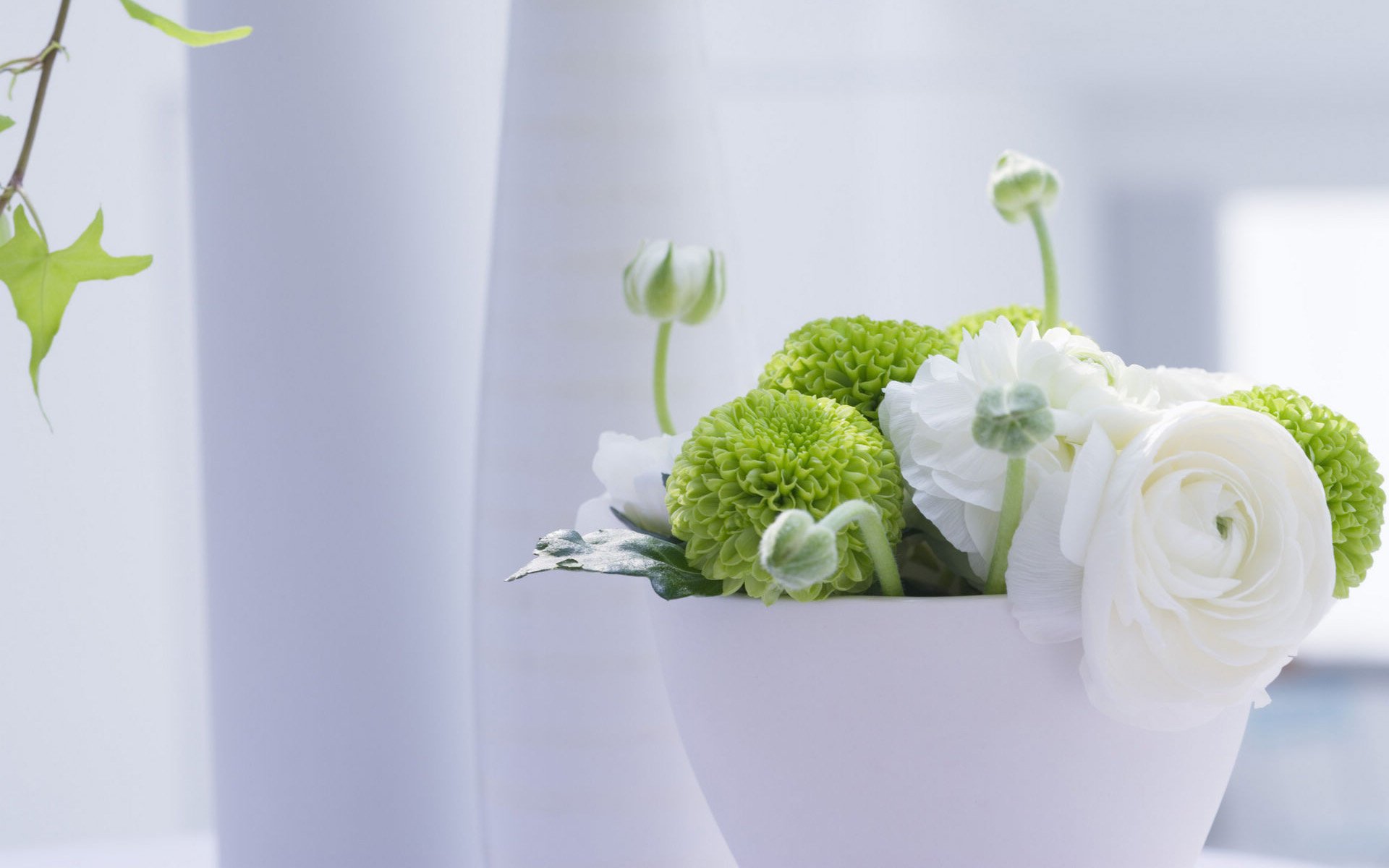 小清新,盆景,淡雅,宽屏