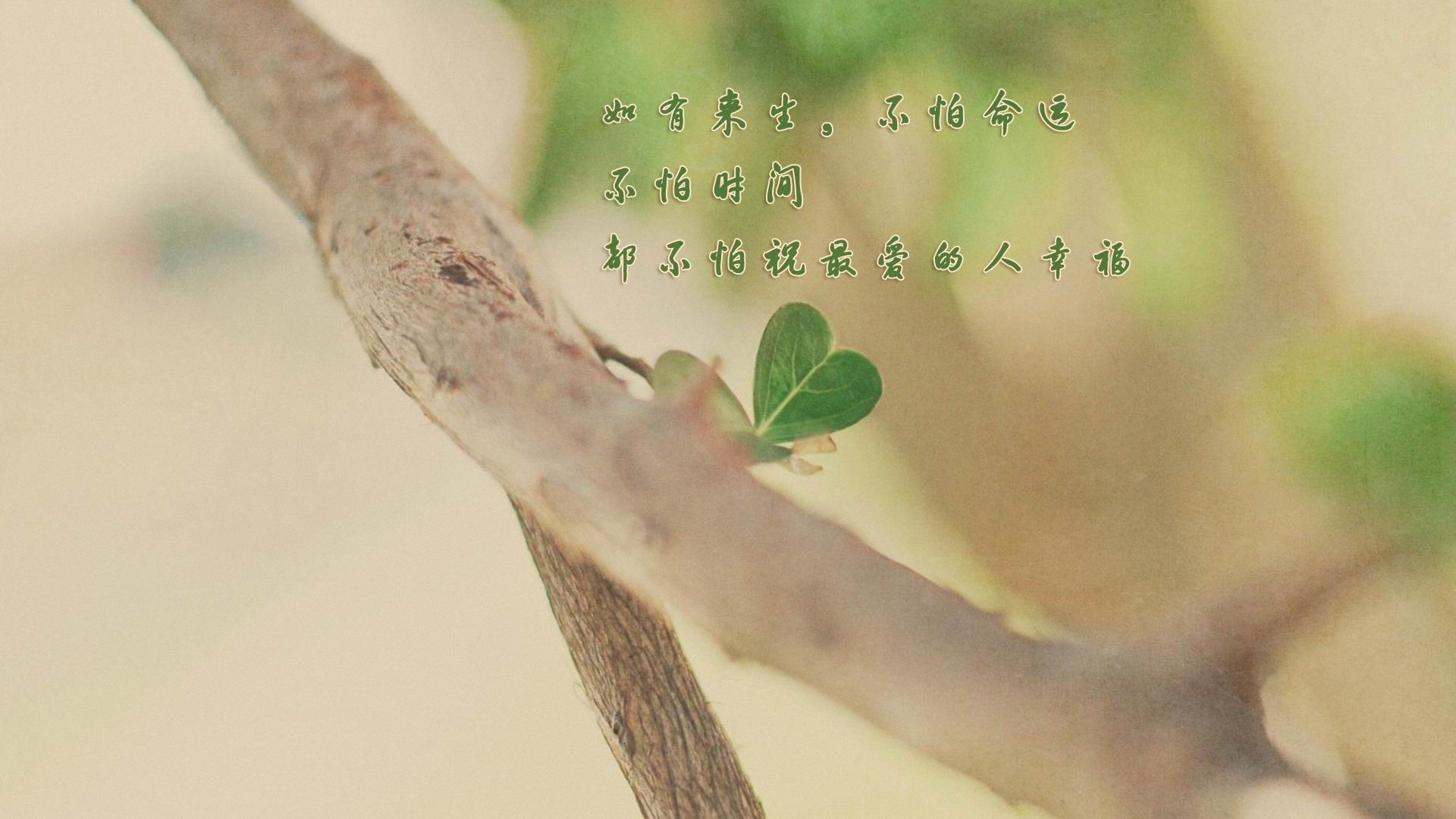 爱情,爱情箴言,温馨,简单