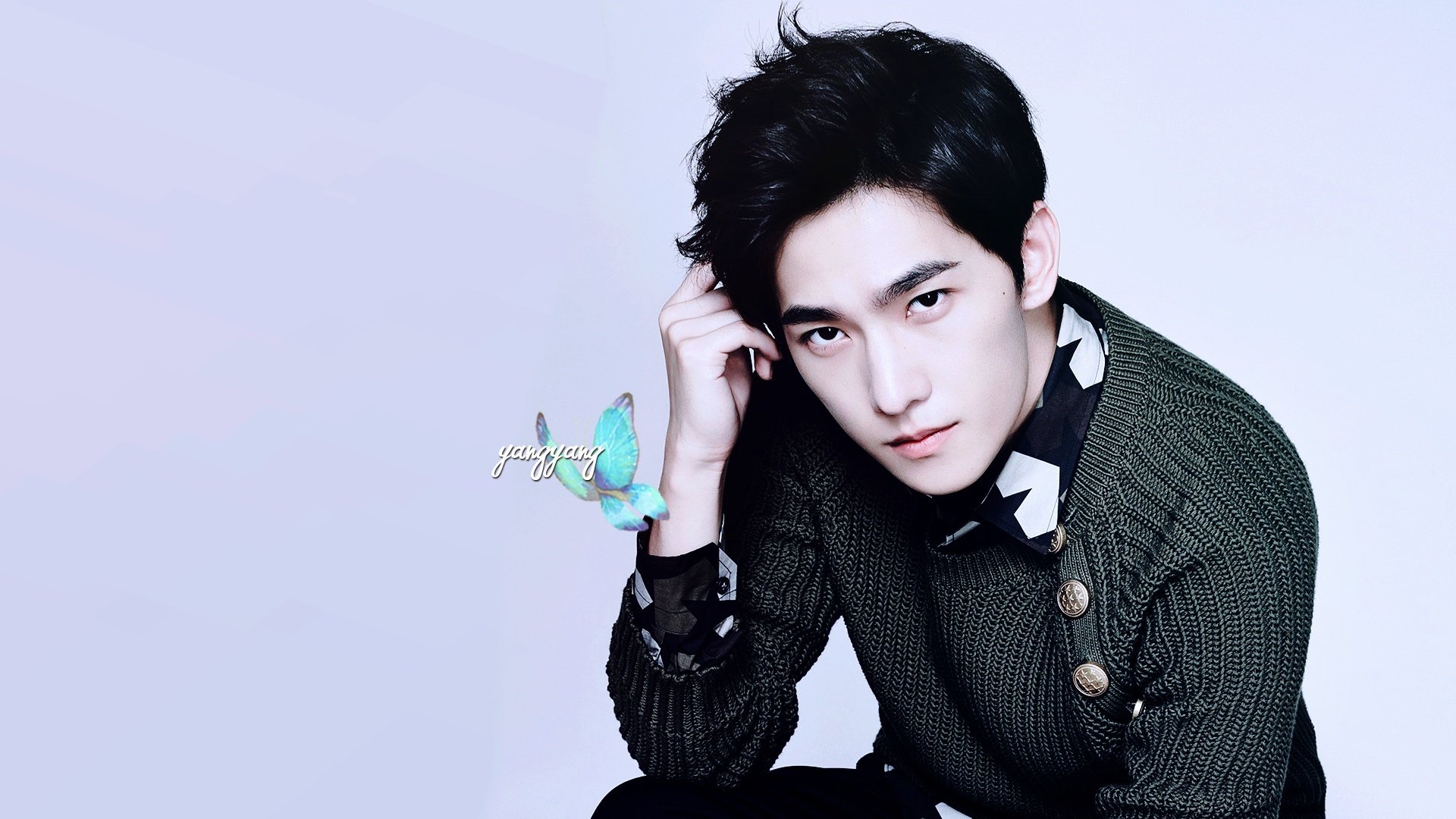 杨洋,明星,帅哥,宽屏,小鲜肉