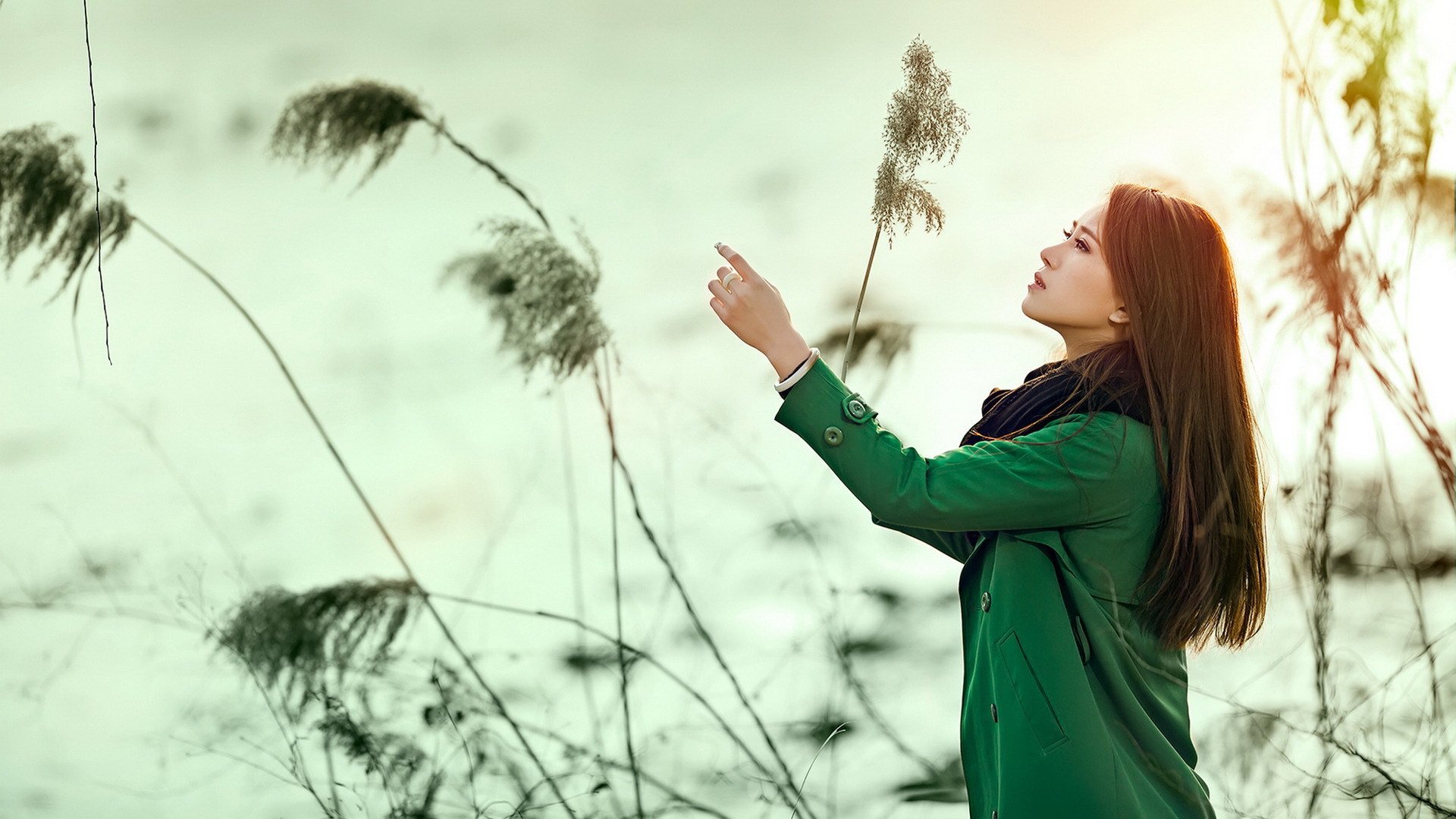 美女,清纯,知性,忧郁,宽屏