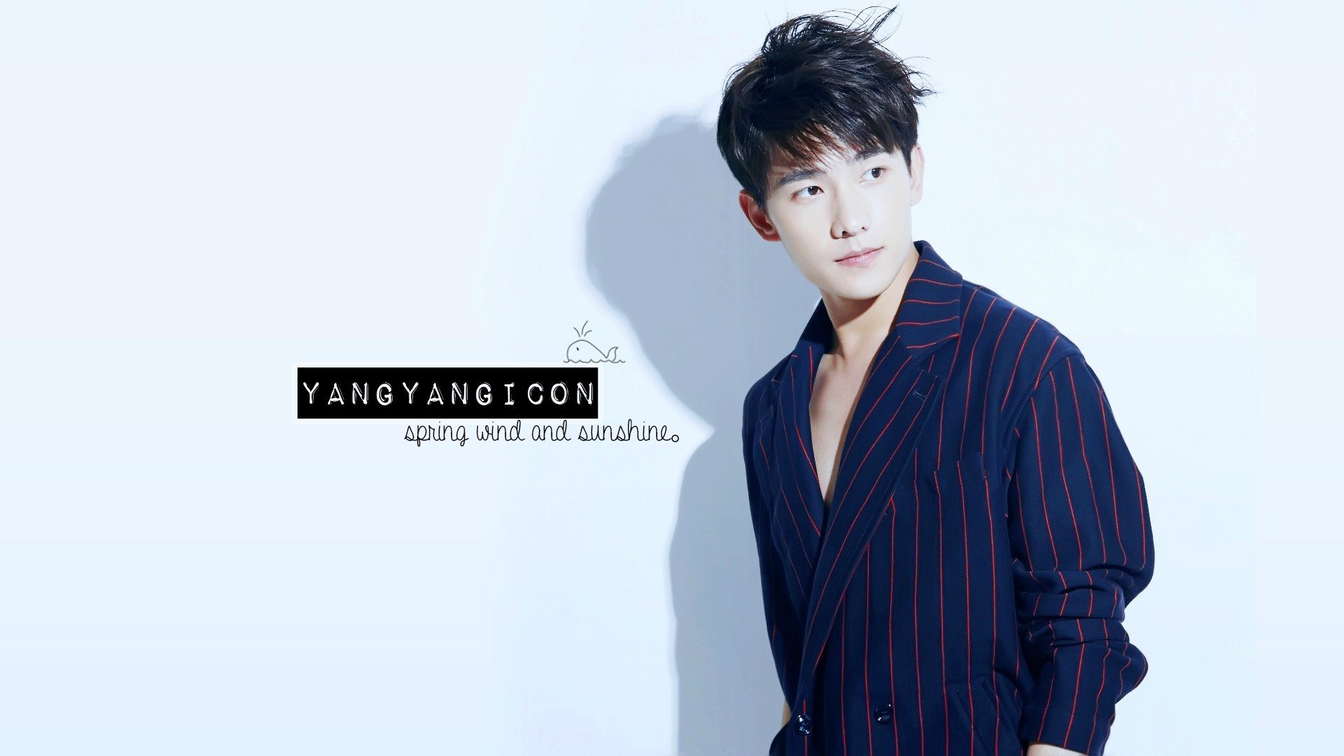 杨洋,明星,帅哥,宽屏,小鲜肉