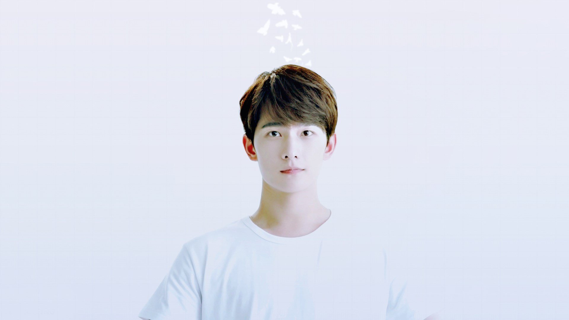 杨洋,明星,帅哥,宽屏,小鲜肉