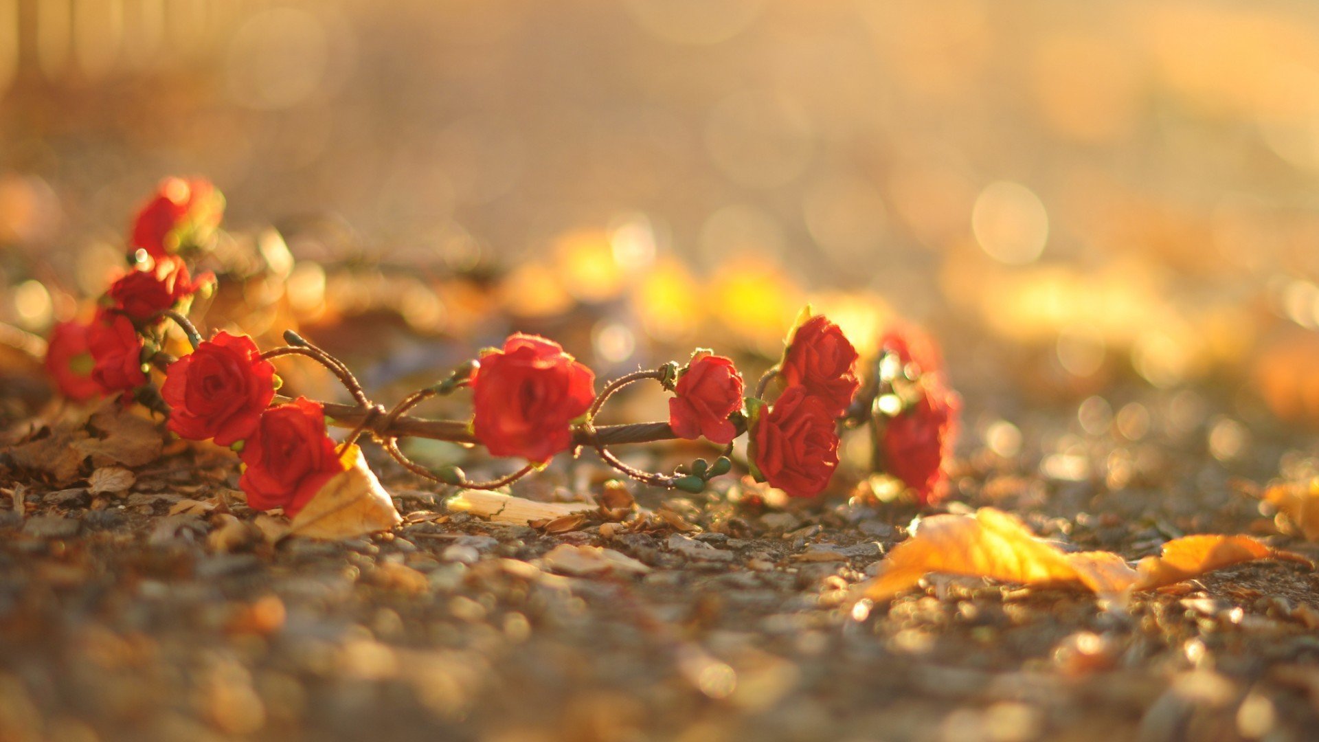 小清新,简单,可爱