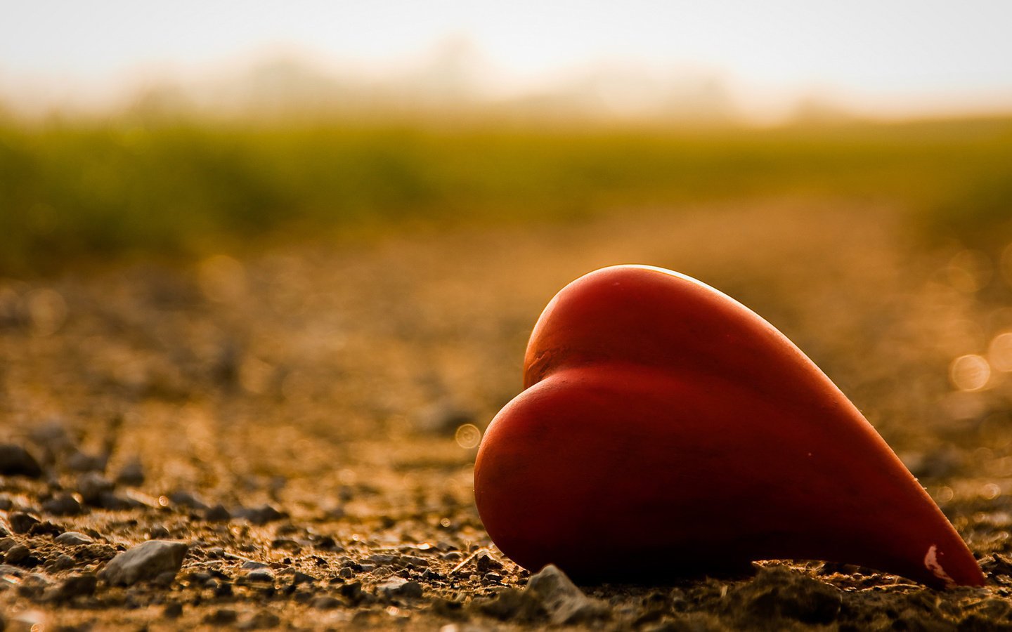 爱情,爱心,一颗红心,宽屏