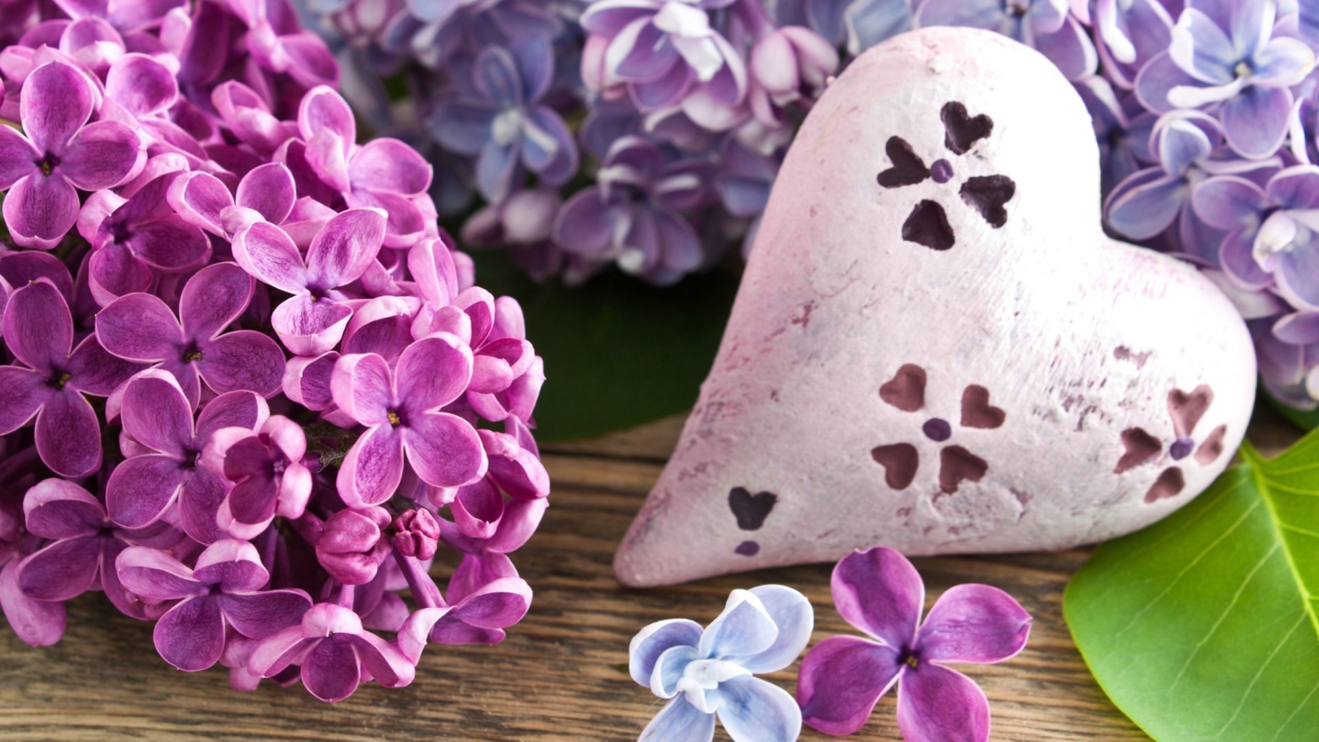 爱情,爱心,紫色浪漫,宽屏