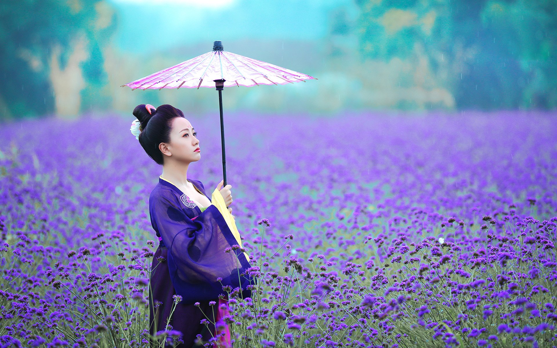 杨蓉,演员,美女,明星