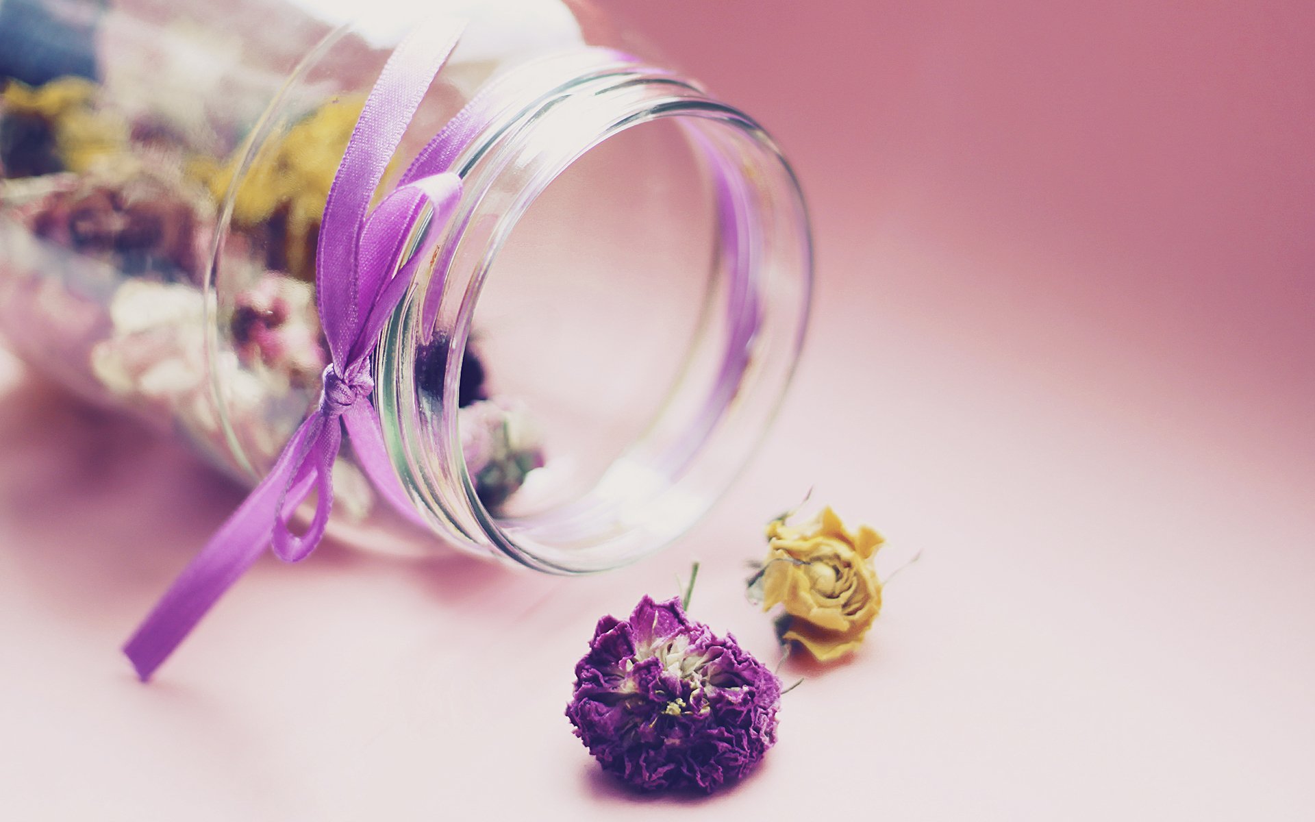 小清新,简单,可爱,花茶