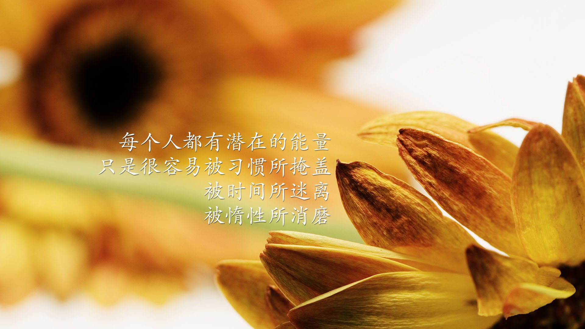 励志,励志名言,言之有理,宽屏