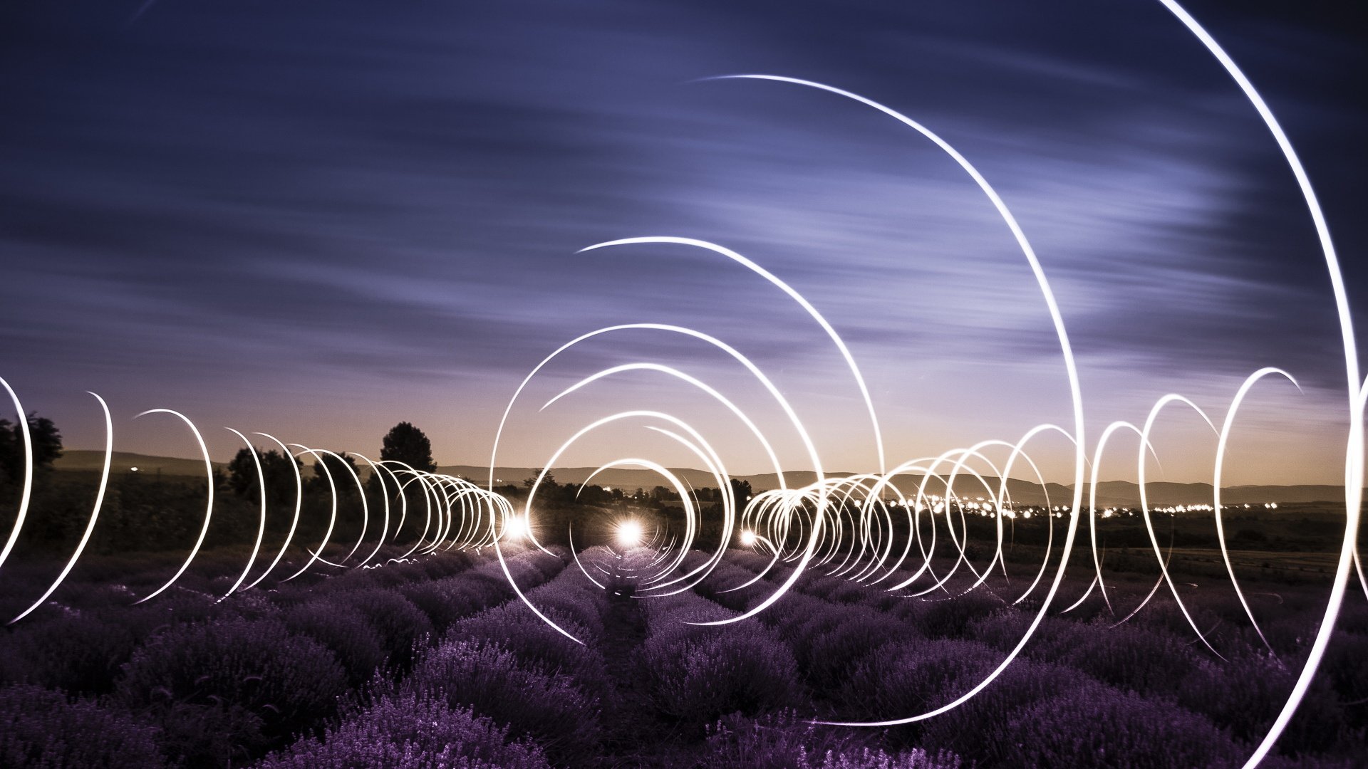 薰衣草,灯光,创意