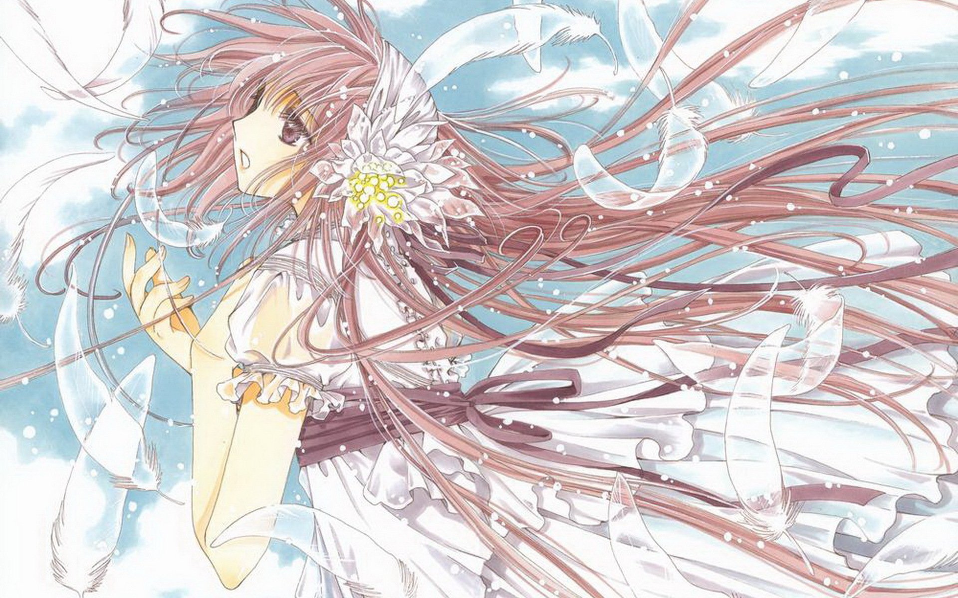 小鸠,萝莉,奇幻,爱情,搞笑,冒险,动漫