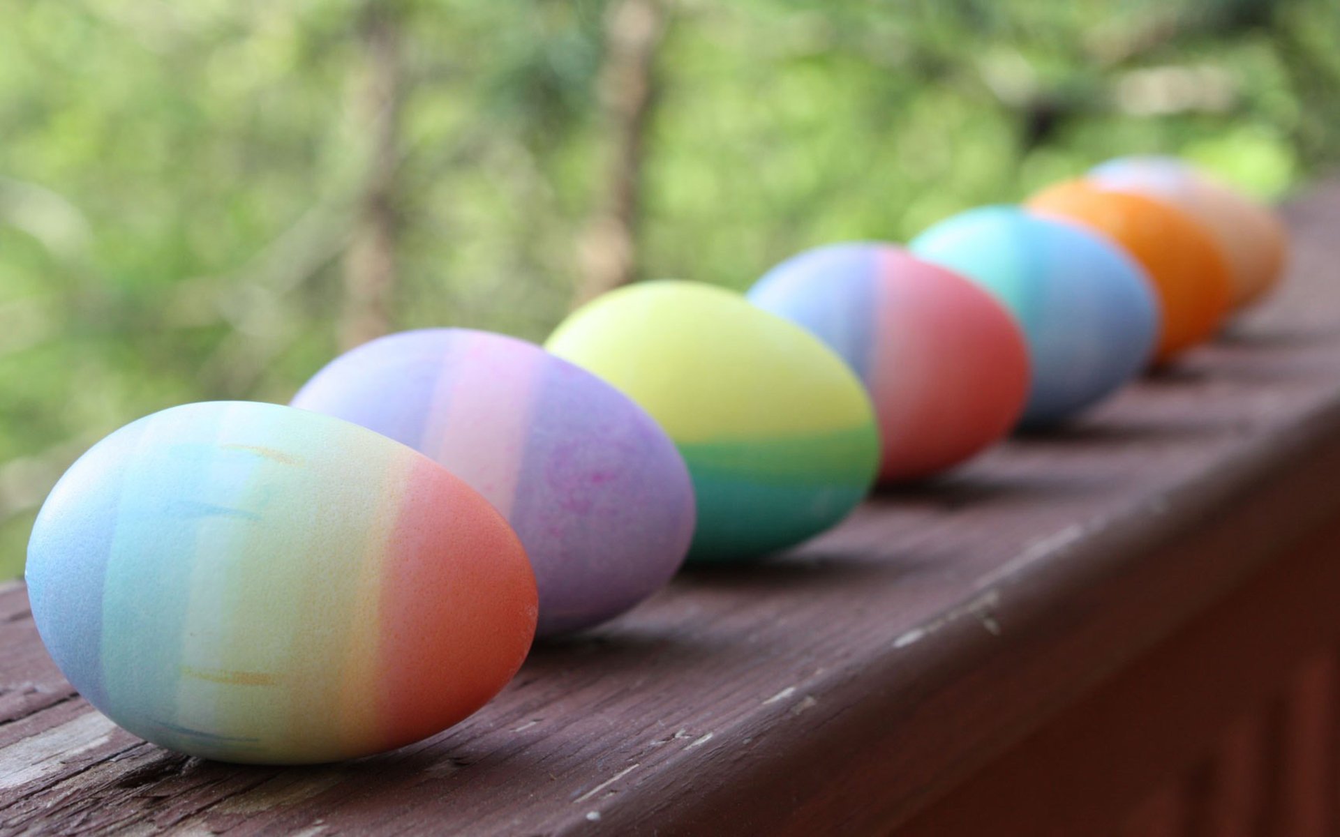 小清新,彩蛋,简单可爱