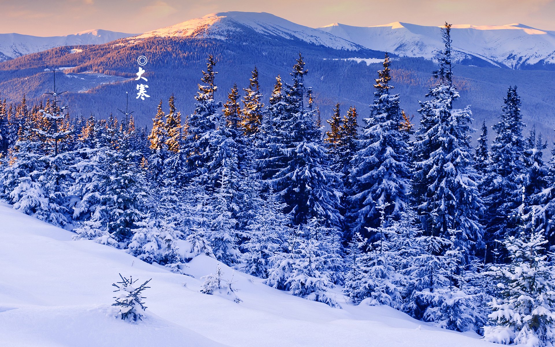 节日美图,大寒,寒冷,二十四节气,宽屏	