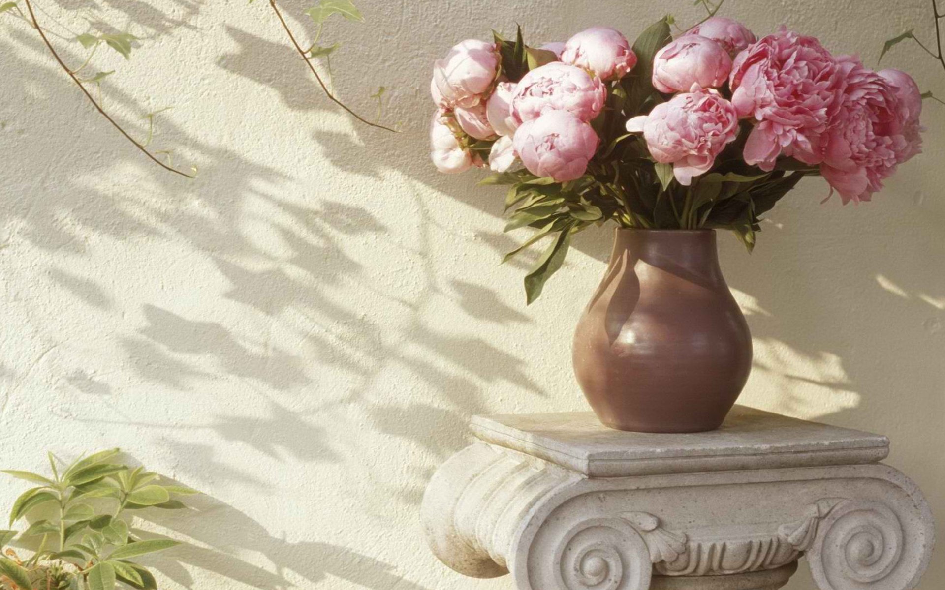 小清新,花瓶,简单,温馨