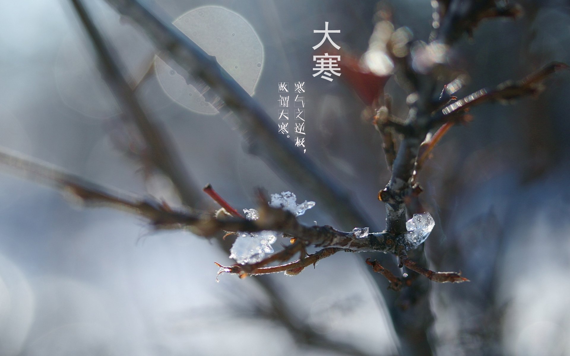 节日美图,大寒,寒冷,二十四节气,宽屏