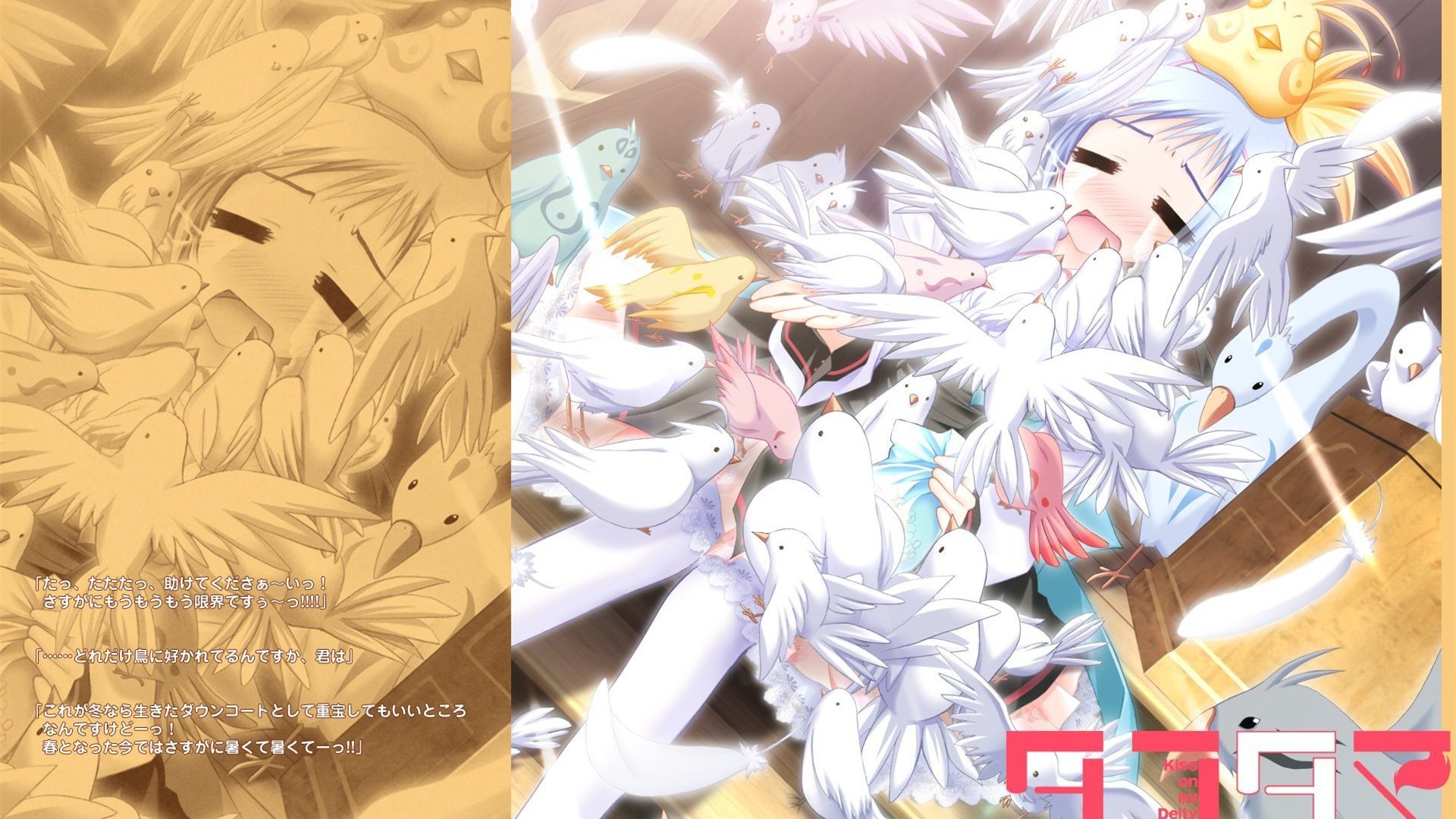 游魂,Kiss,on,my,Deity,少女,少年,情感,动漫