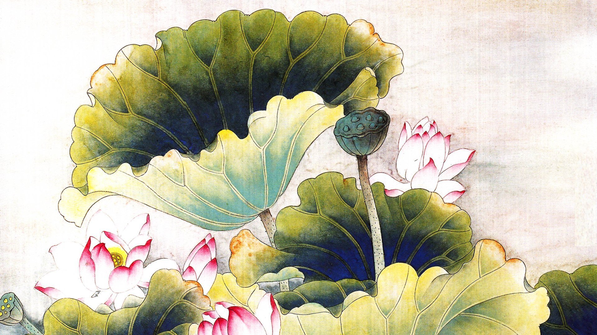 手绘,荷花,水墨画,古风,宽屏