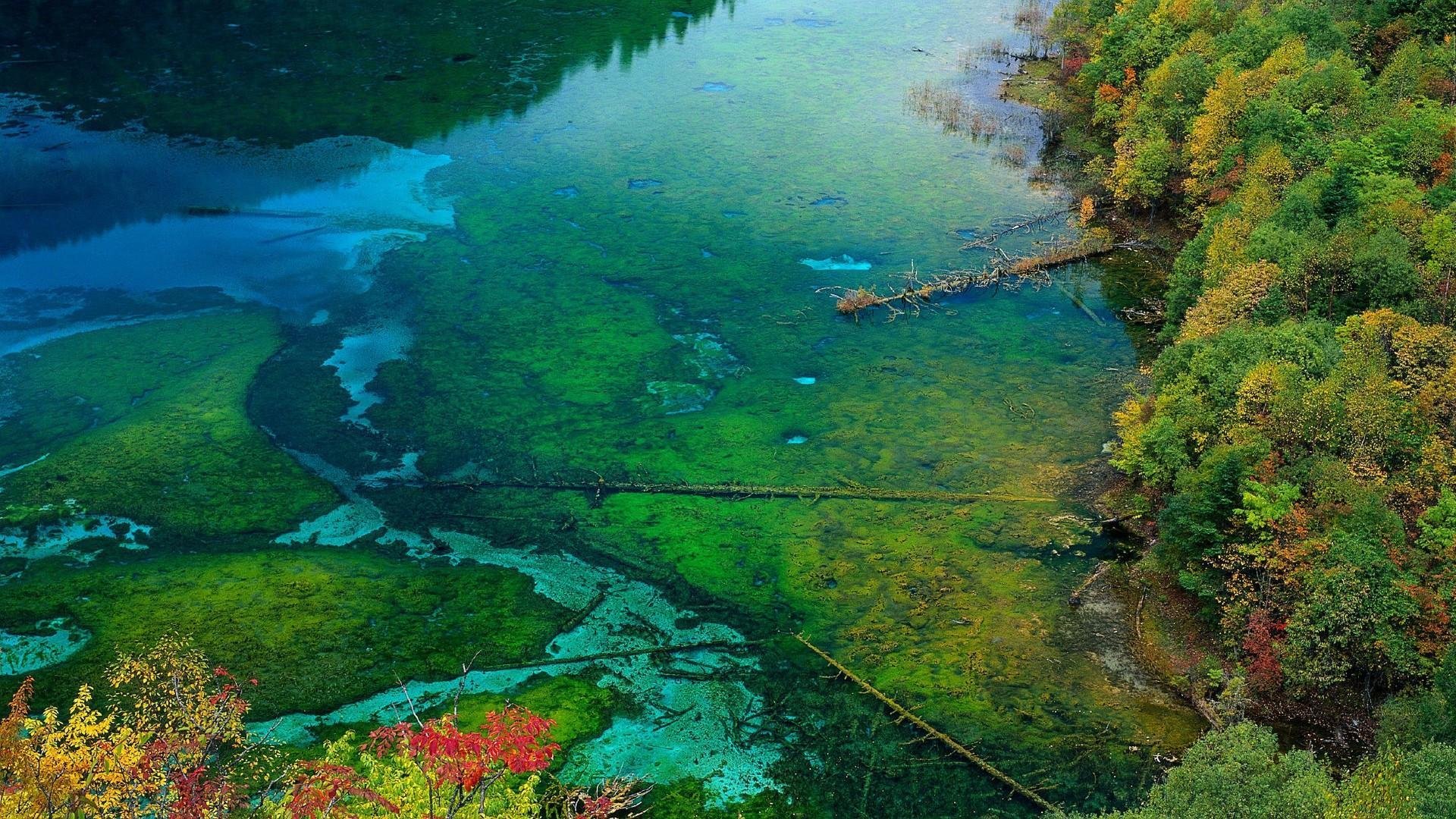 自然风景,山清水秀,风光无限,宽屏