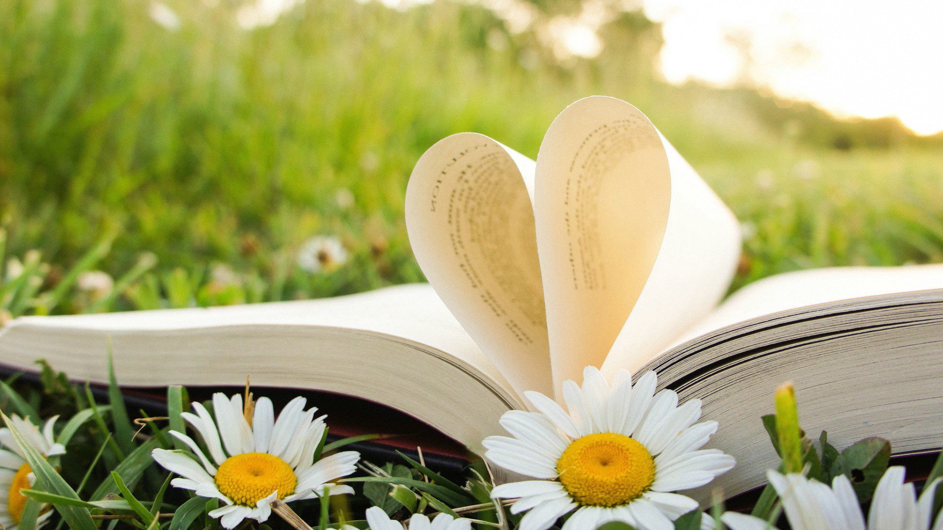 爱情,爱心,书中爱心,宽屏