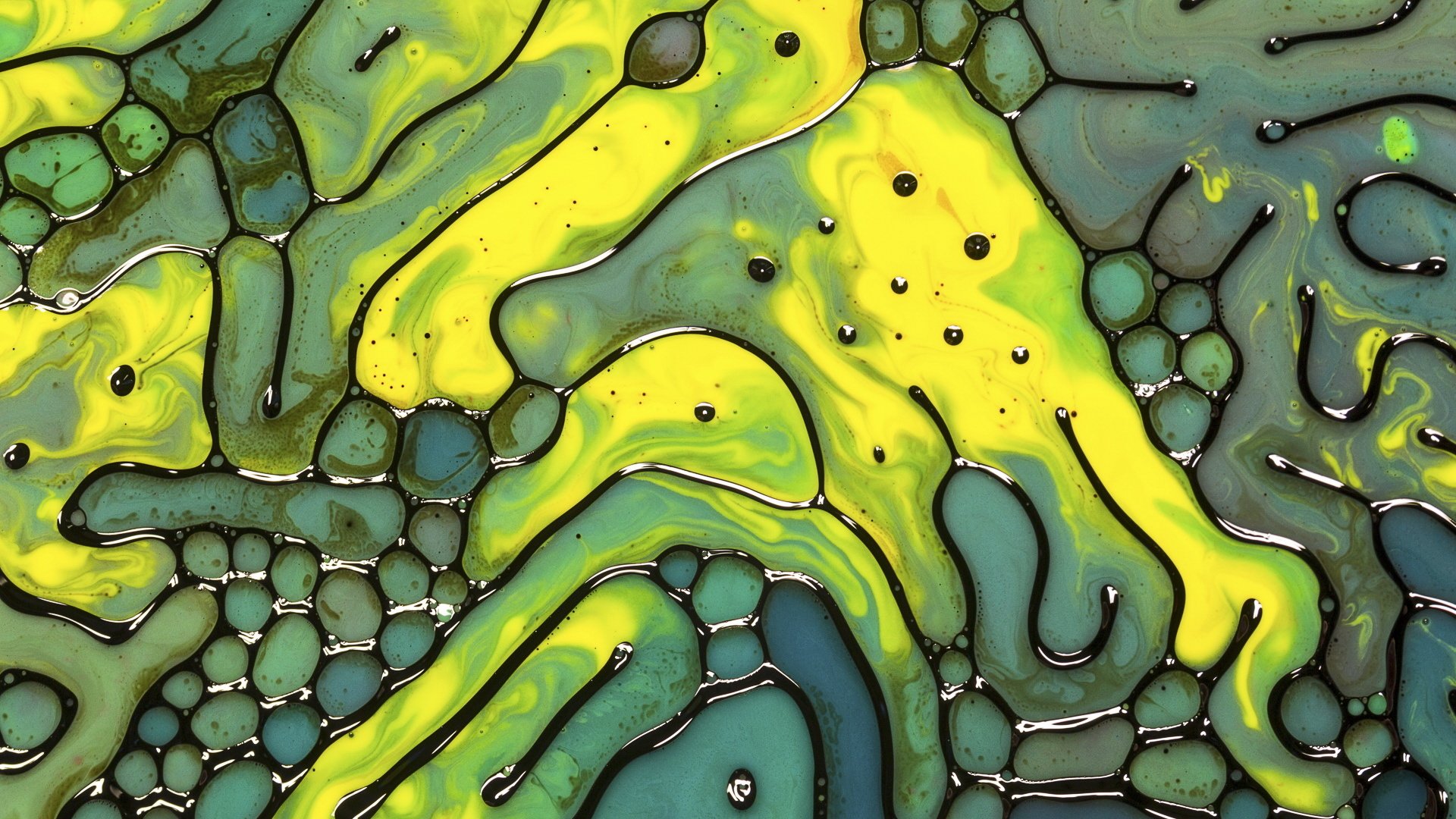 艺术,创意,抽象